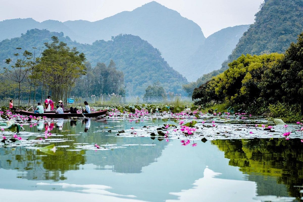 Vn Travel Guide