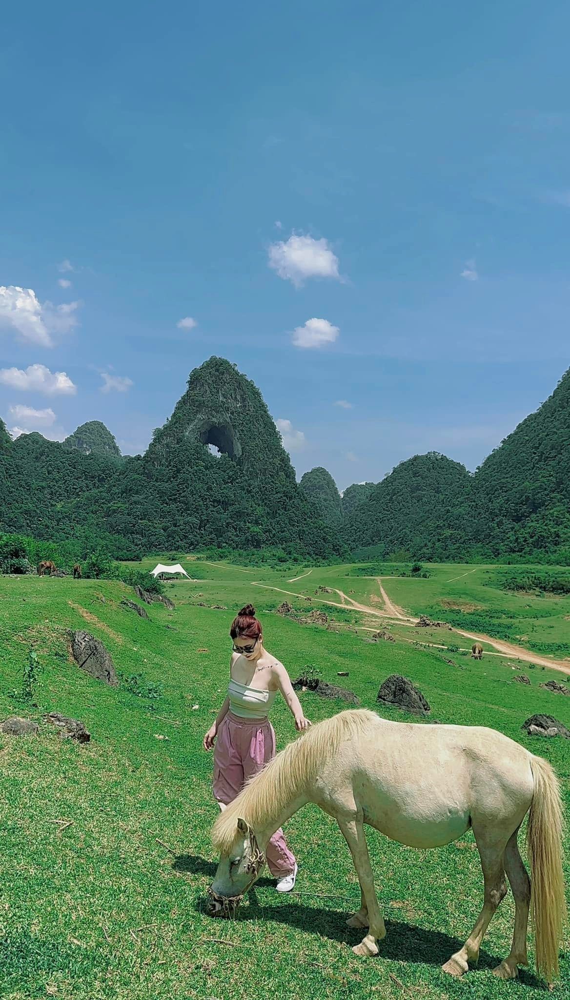 VN TRAVEL GUIDE - Cẩm nang du lịch - Đồng hành cùng mỗi chuyến đi