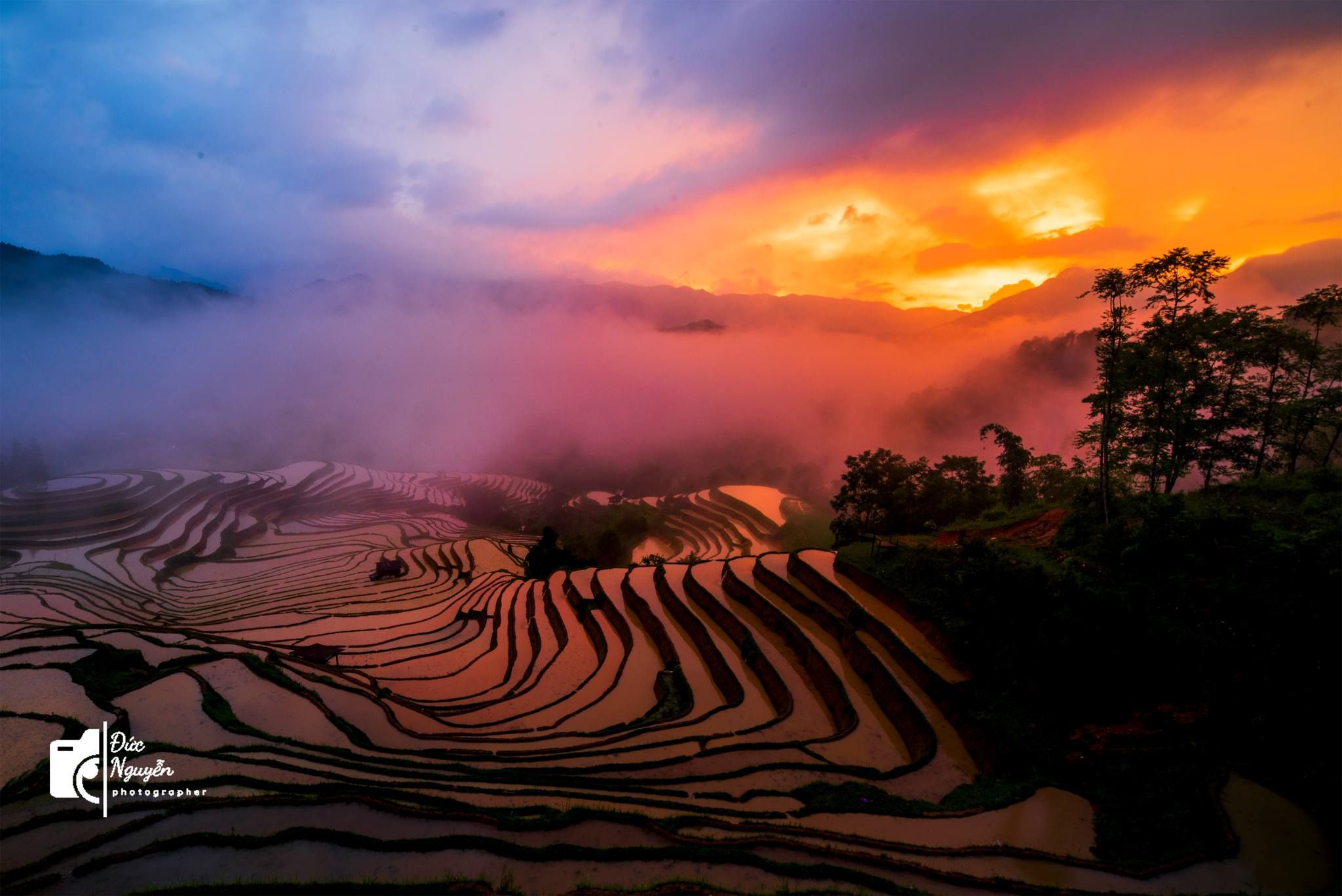 VN Travel Guide