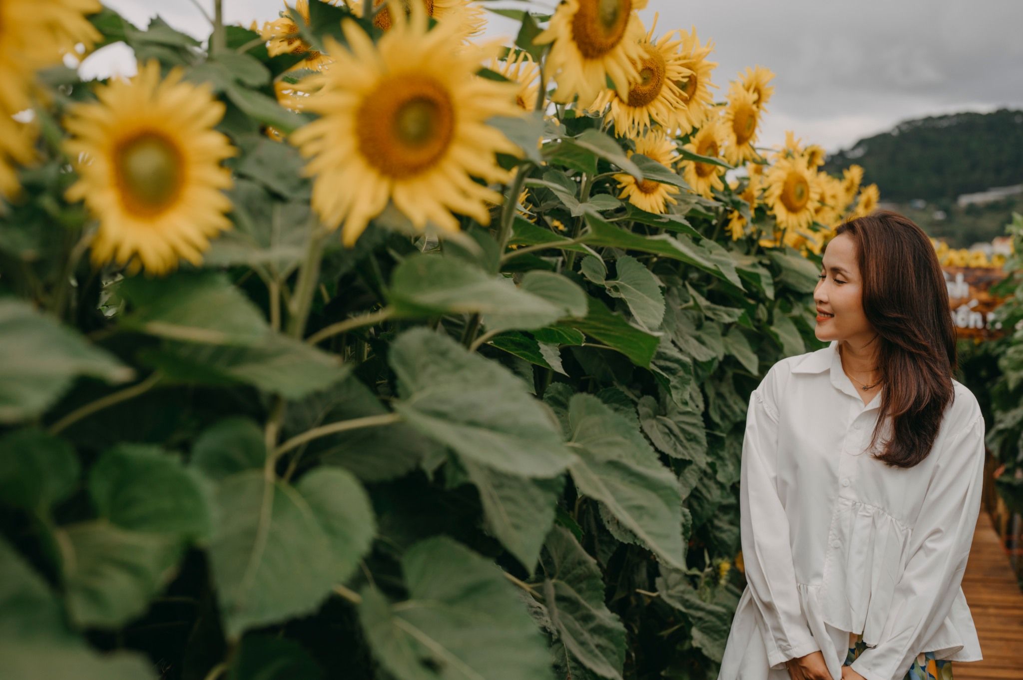 VN TRAVEL GUIDE - Cẩm nang du lịch - Đồng hành cùng mỗi chuyến đi