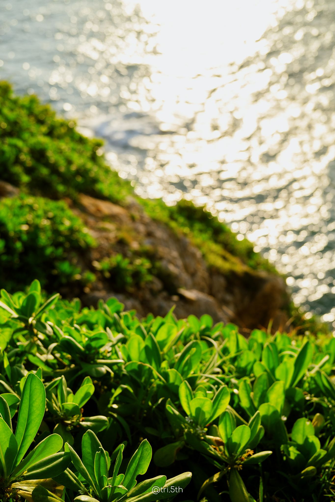 VN TRAVEL GUIDE - Cẩm nang du lịch - Đồng hành cùng mỗi chuyến đi