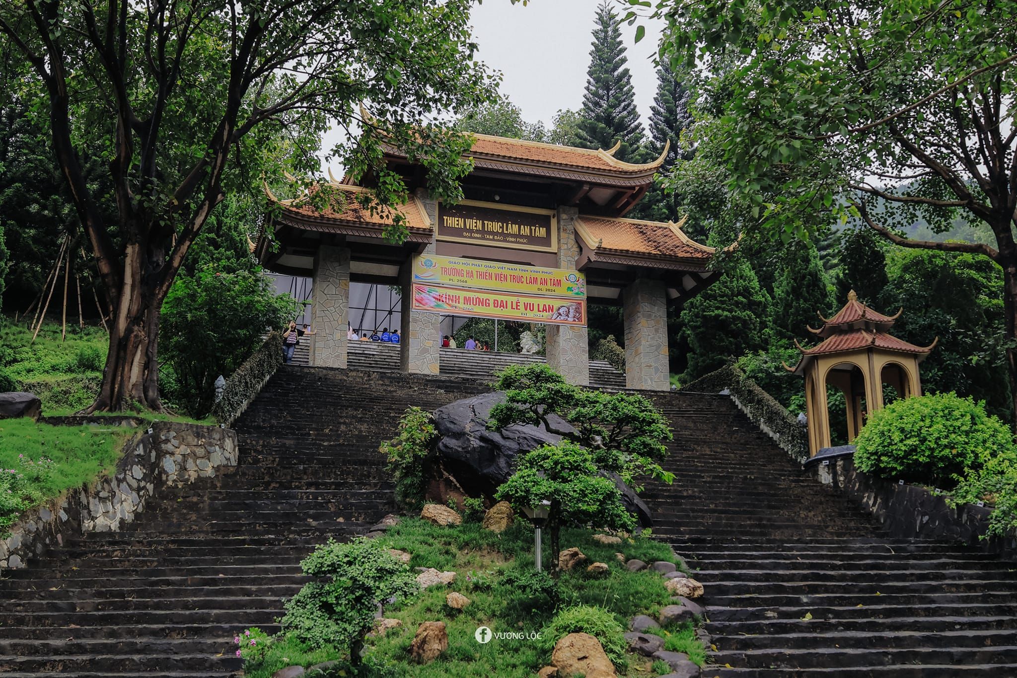 VN Travel Guide