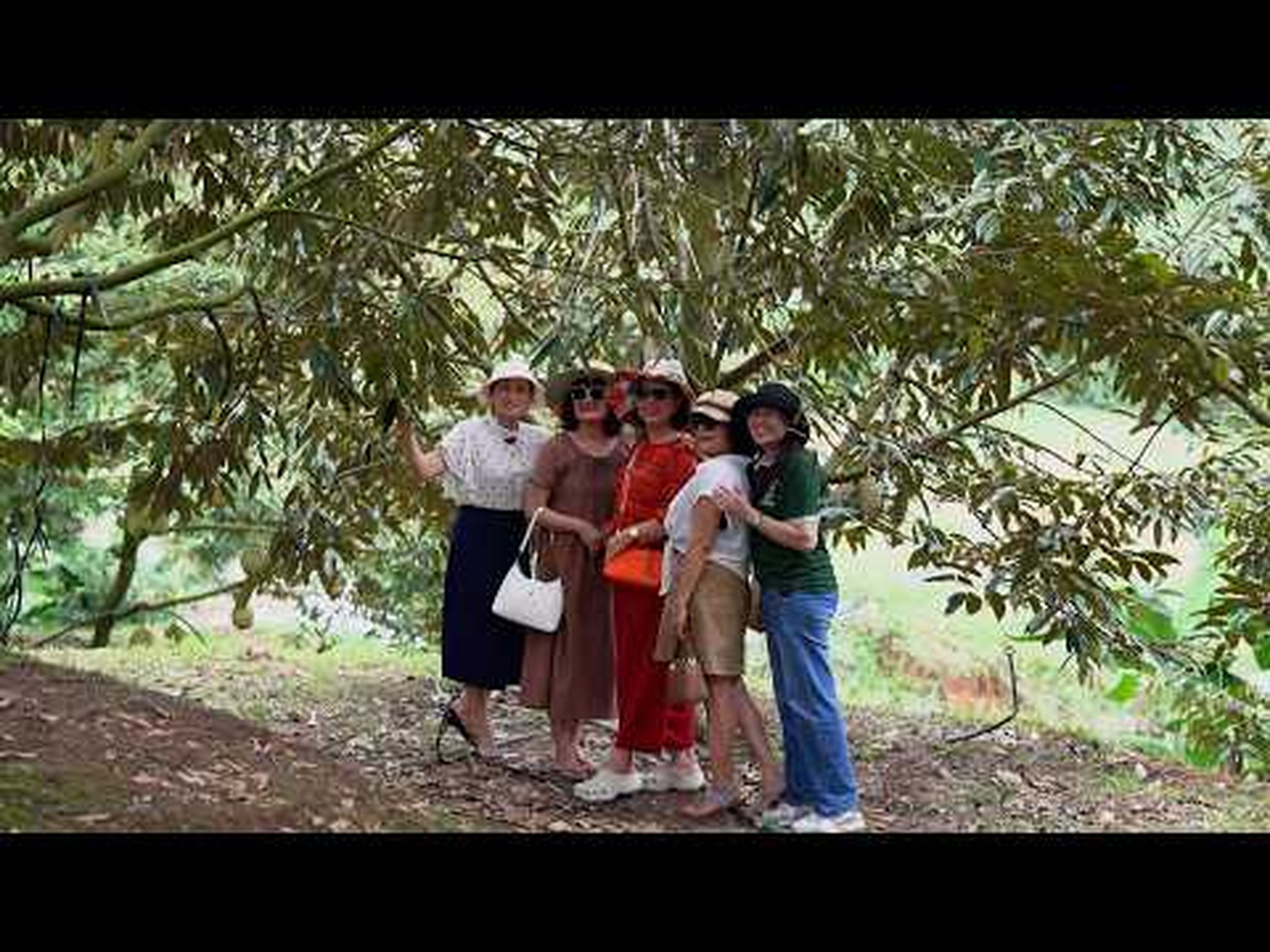Trải nghiệm du lịch miệt vườn: Khám phá hương vị sầu riêng Đông Khánh Sơn - Hình 1