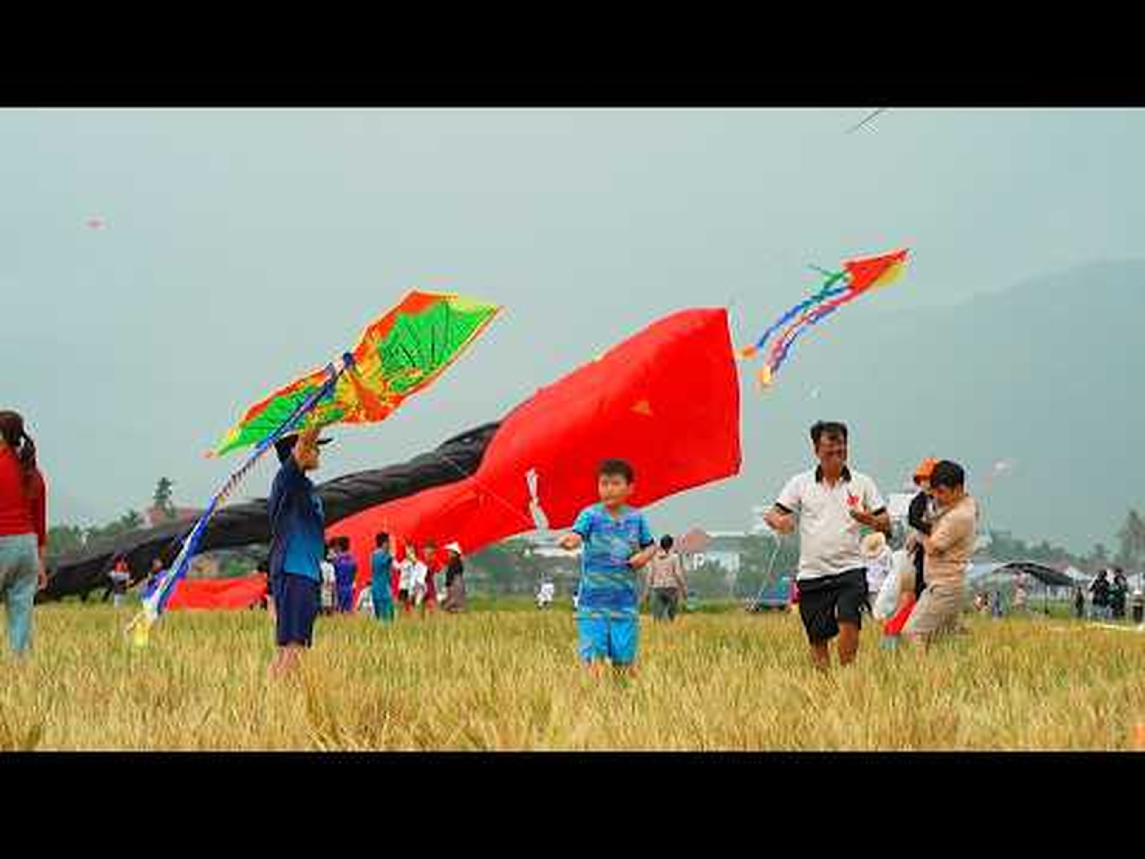 Dien Dien Kite Festival: Where Childhood Kites Take Flight - Hình 1