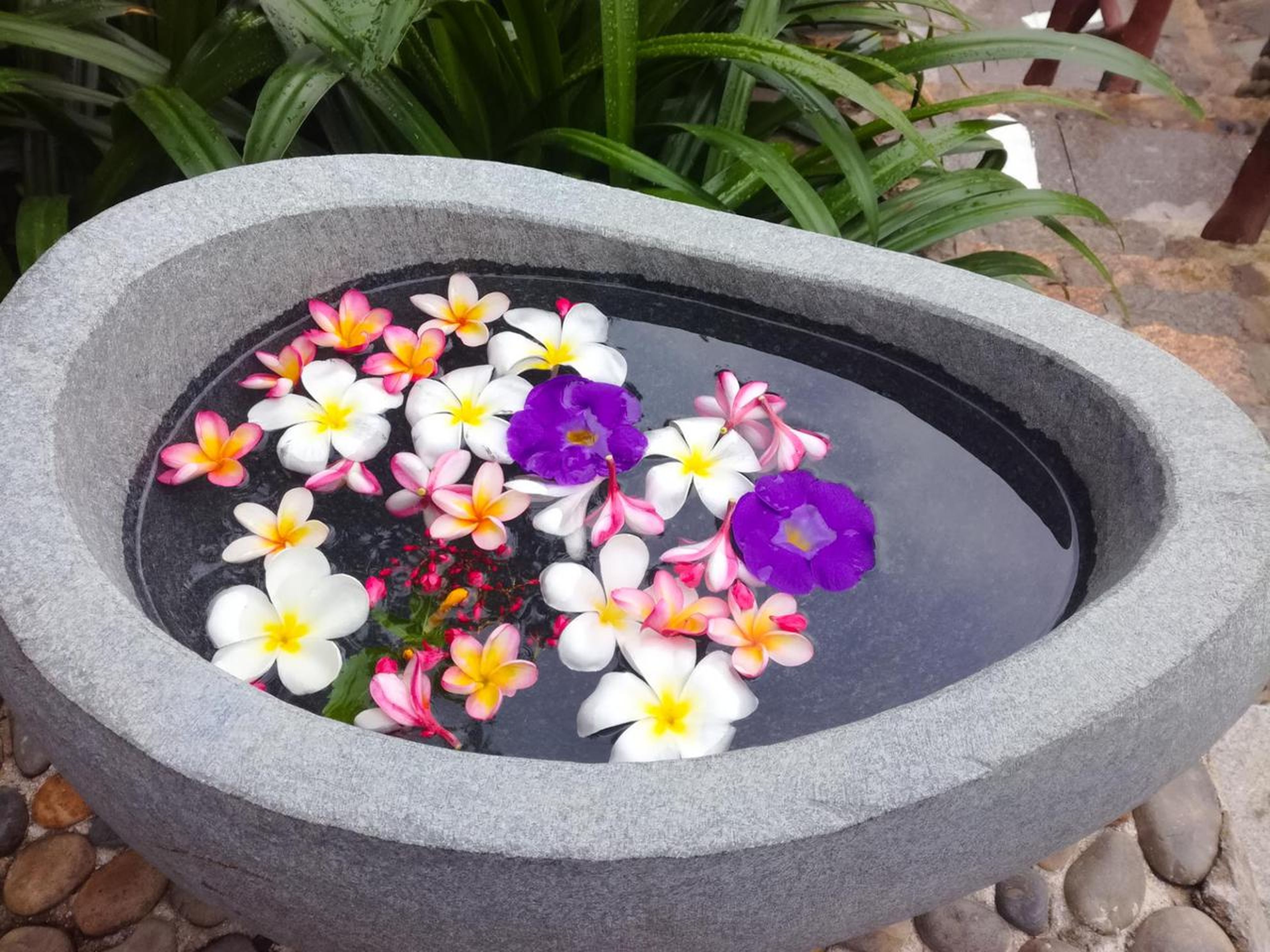 Hundred Eggs: A Unique Travel Experience in Nha Trang - Hình 6