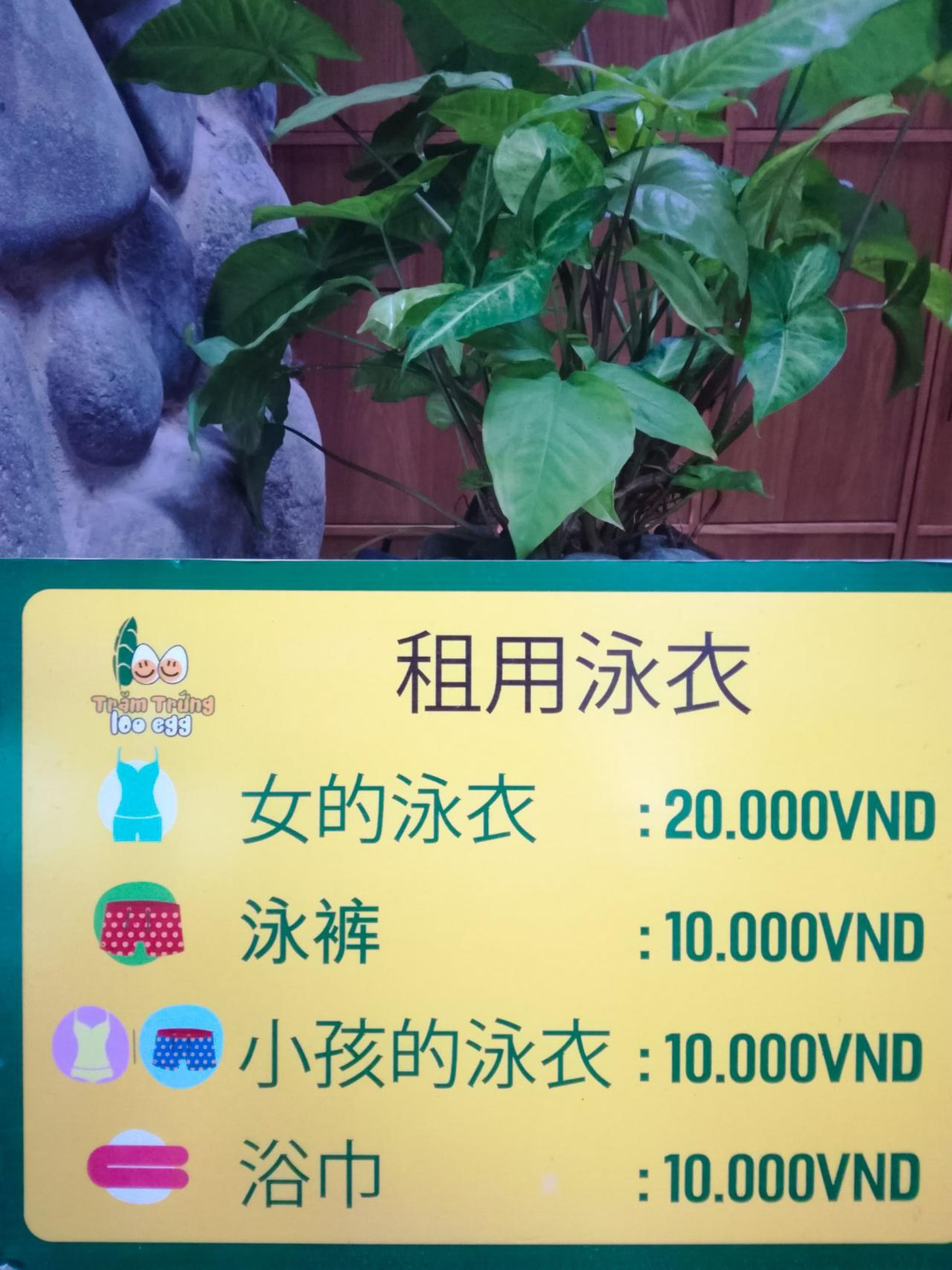Hundred Eggs: A Unique Travel Experience in Nha Trang - Hình 9