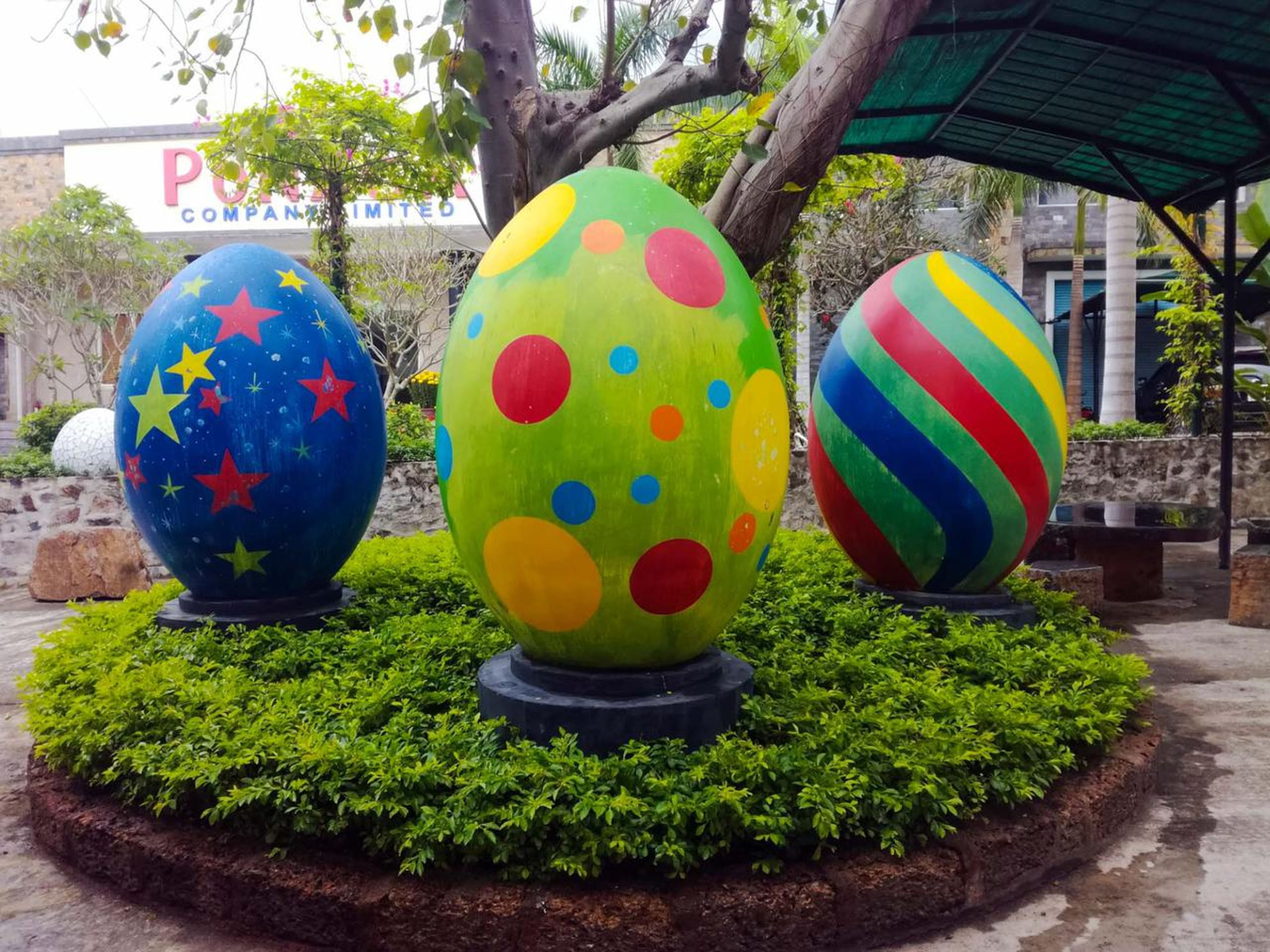 Hundred Eggs: A Unique Travel Experience in Nha Trang - Hình 10