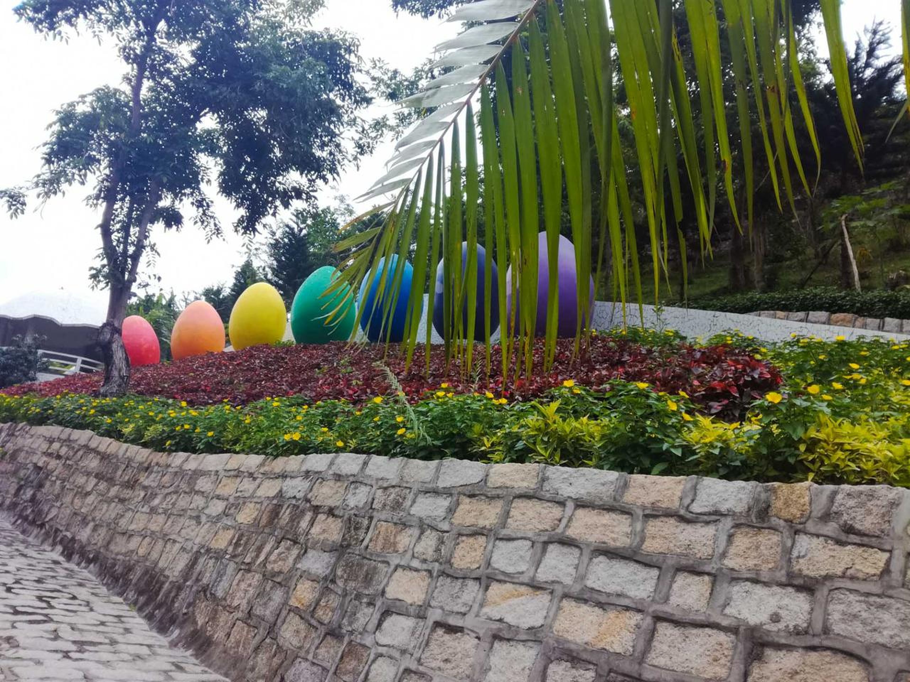 Hundred Eggs: A Unique Travel Experience in Nha Trang - Hình 5