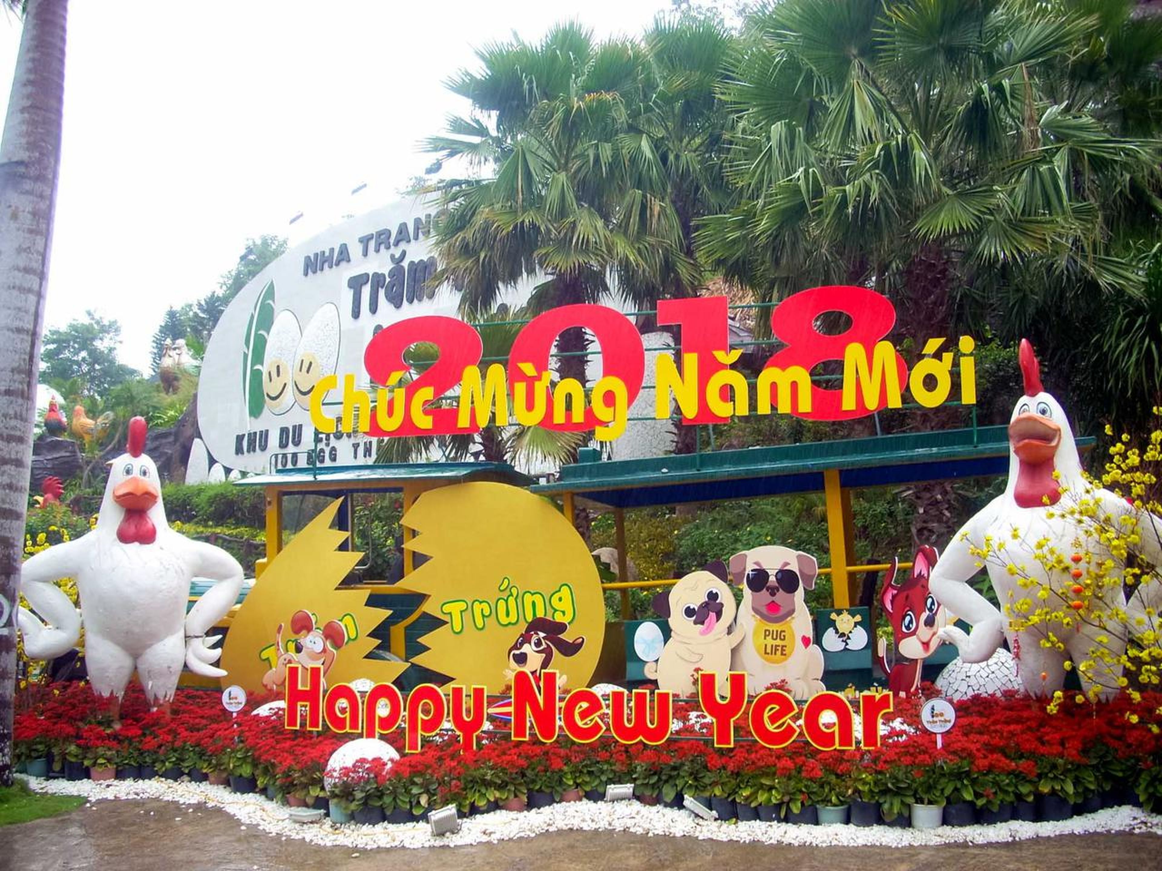 Hundred Eggs: A Unique Travel Experience in Nha Trang - Hình 14