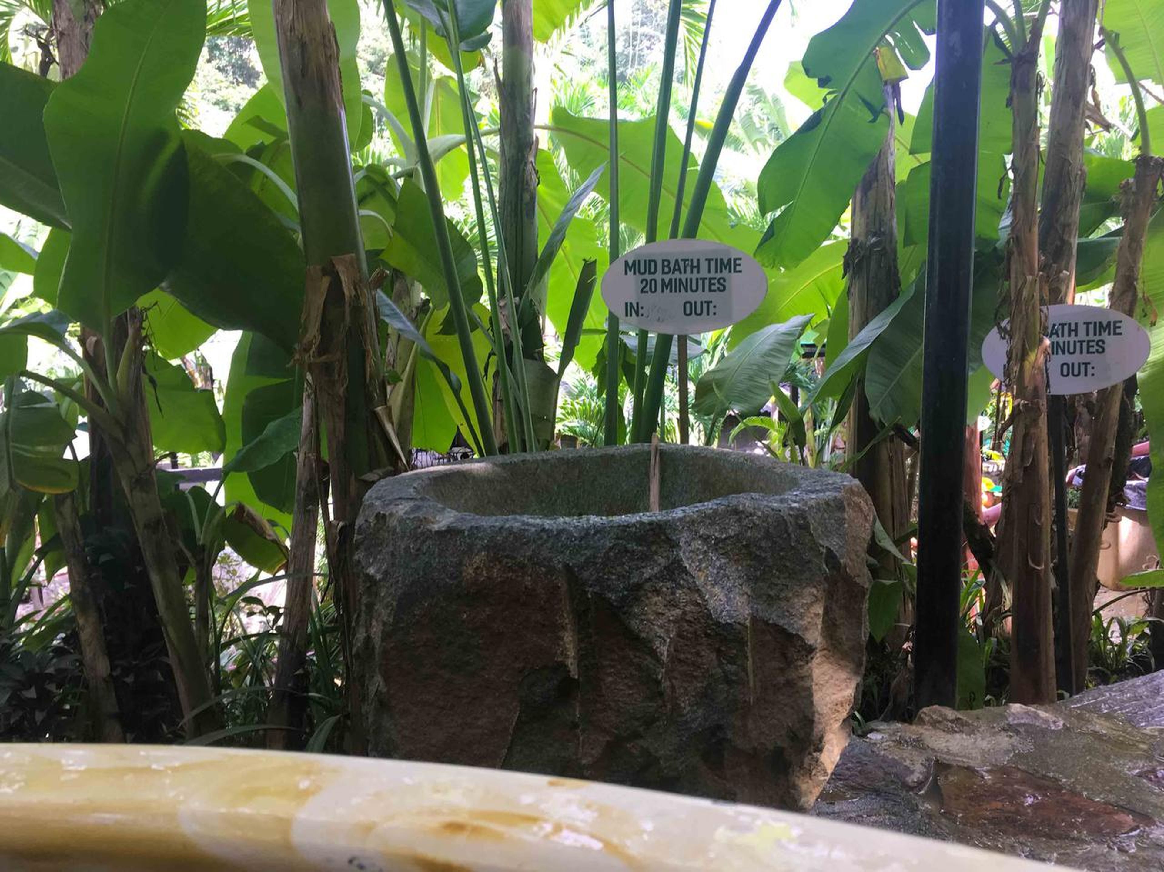Hundred Eggs: A Unique Travel Experience in Nha Trang - Hình 42