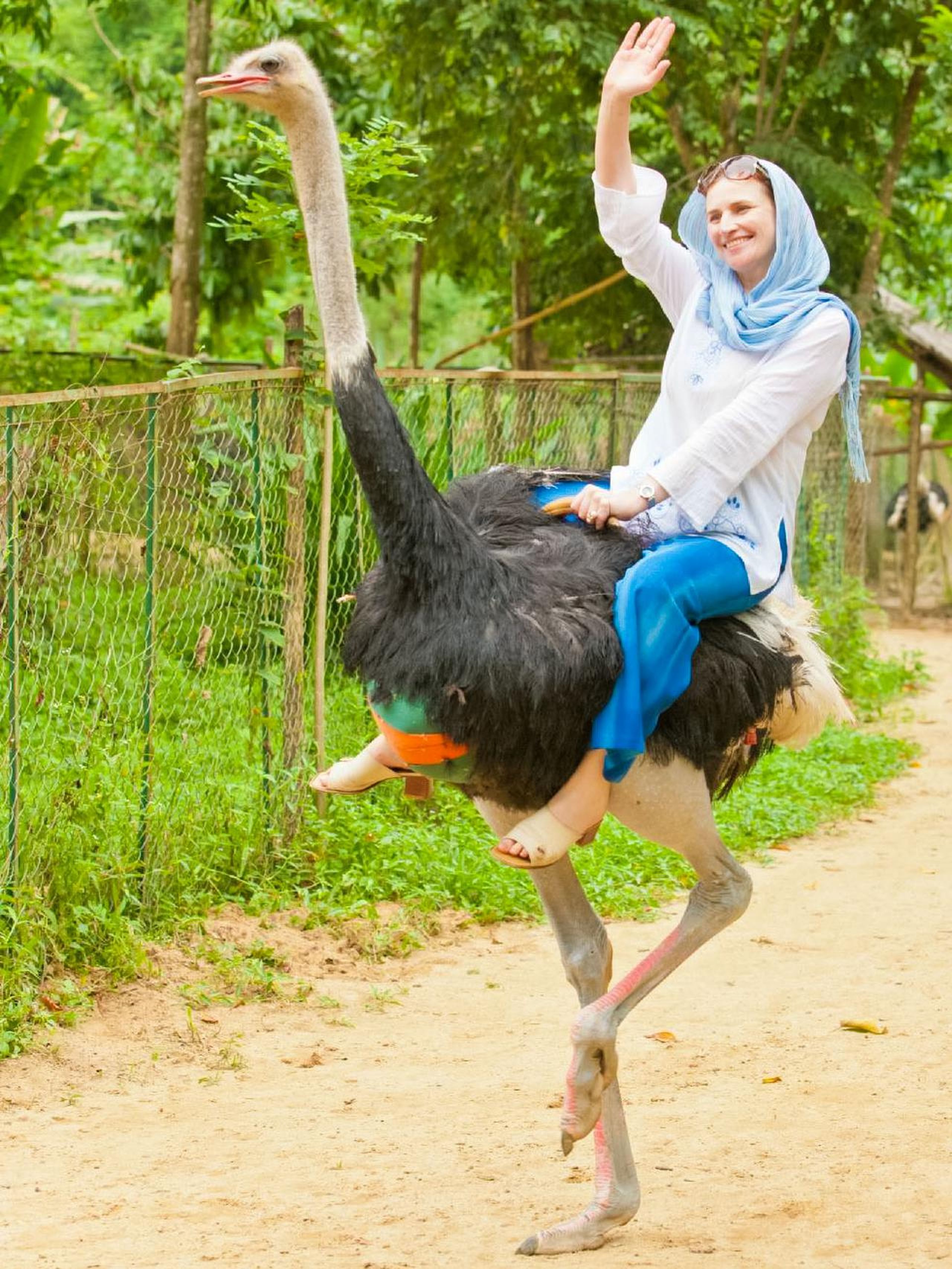 Yang Bay: Discover nature and entertainment. - Hình 5