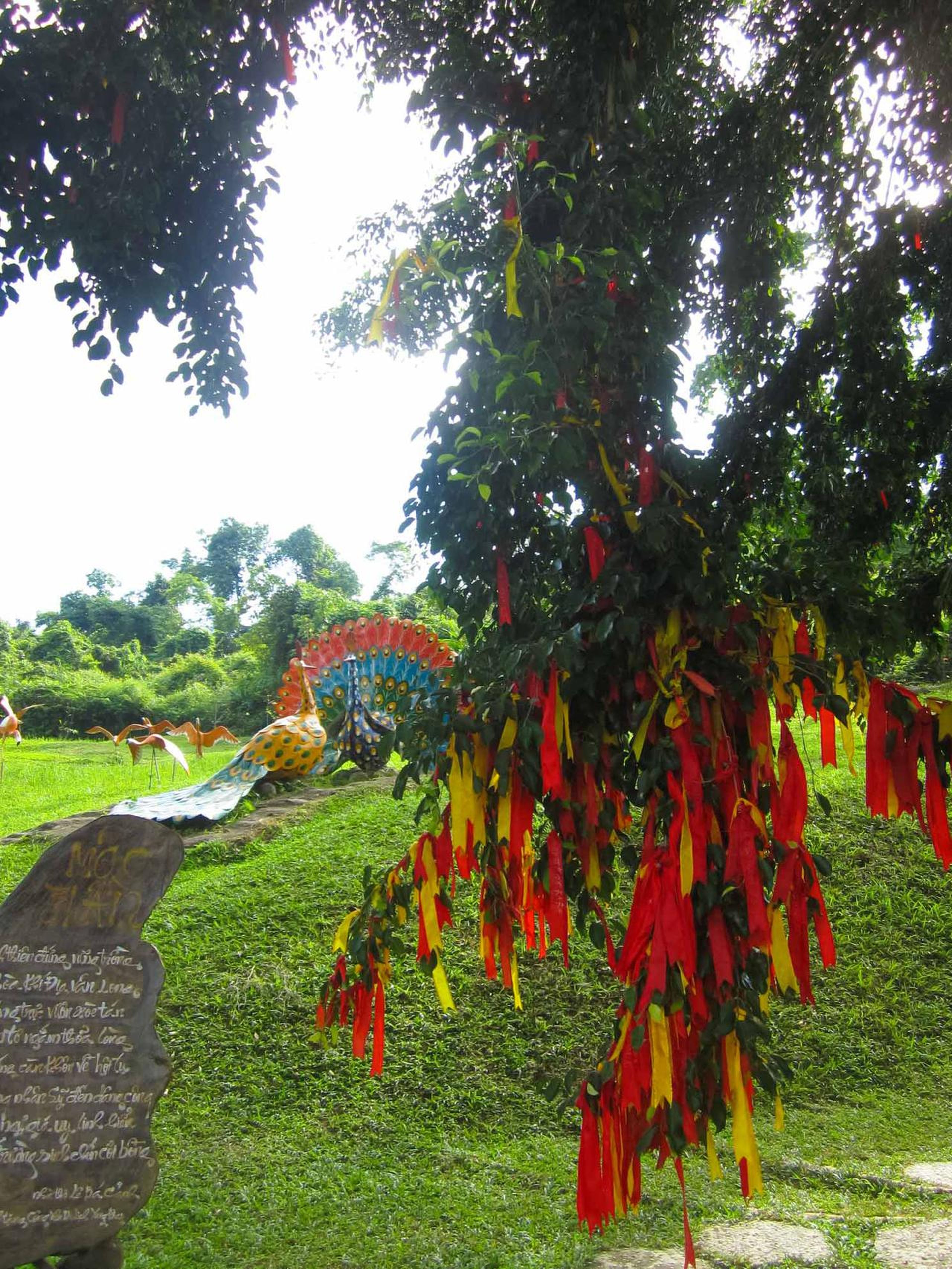 Yang Bay: Discover nature and entertainment. - Hình 6