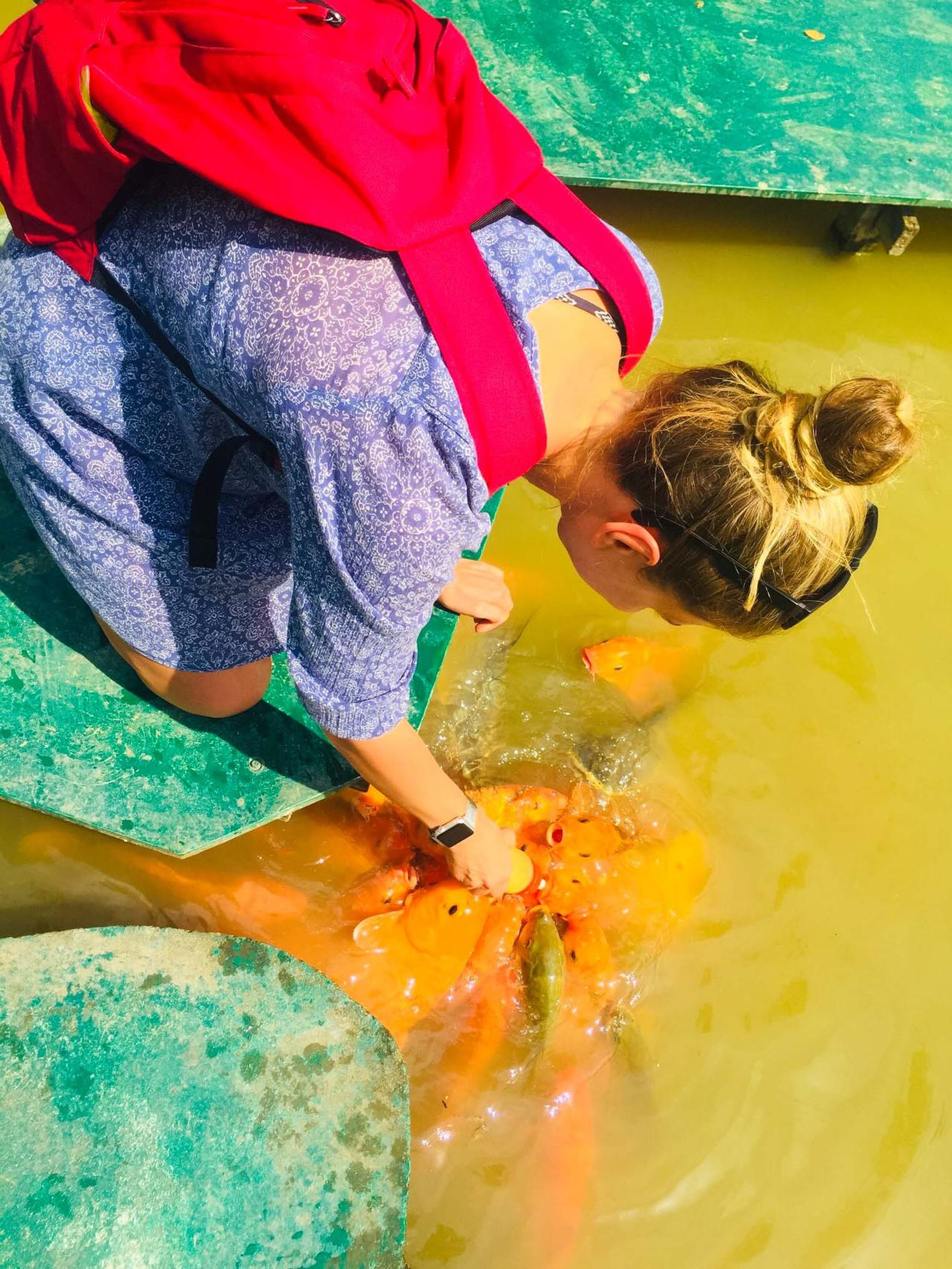 Yang Bay: Discover nature and entertainment. - Hình 14