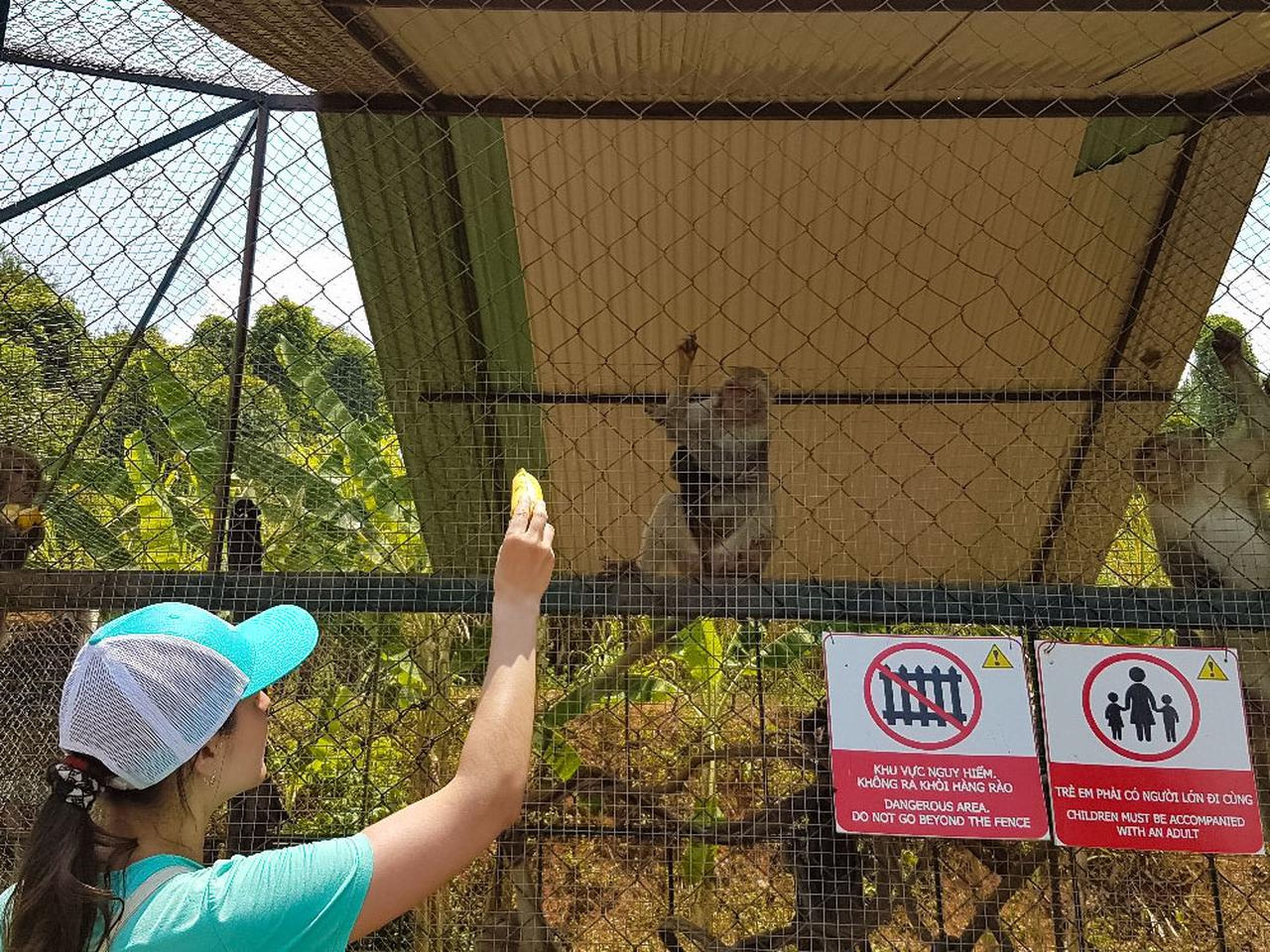 Yang Bay: Discover nature and entertainment. - Hình 20