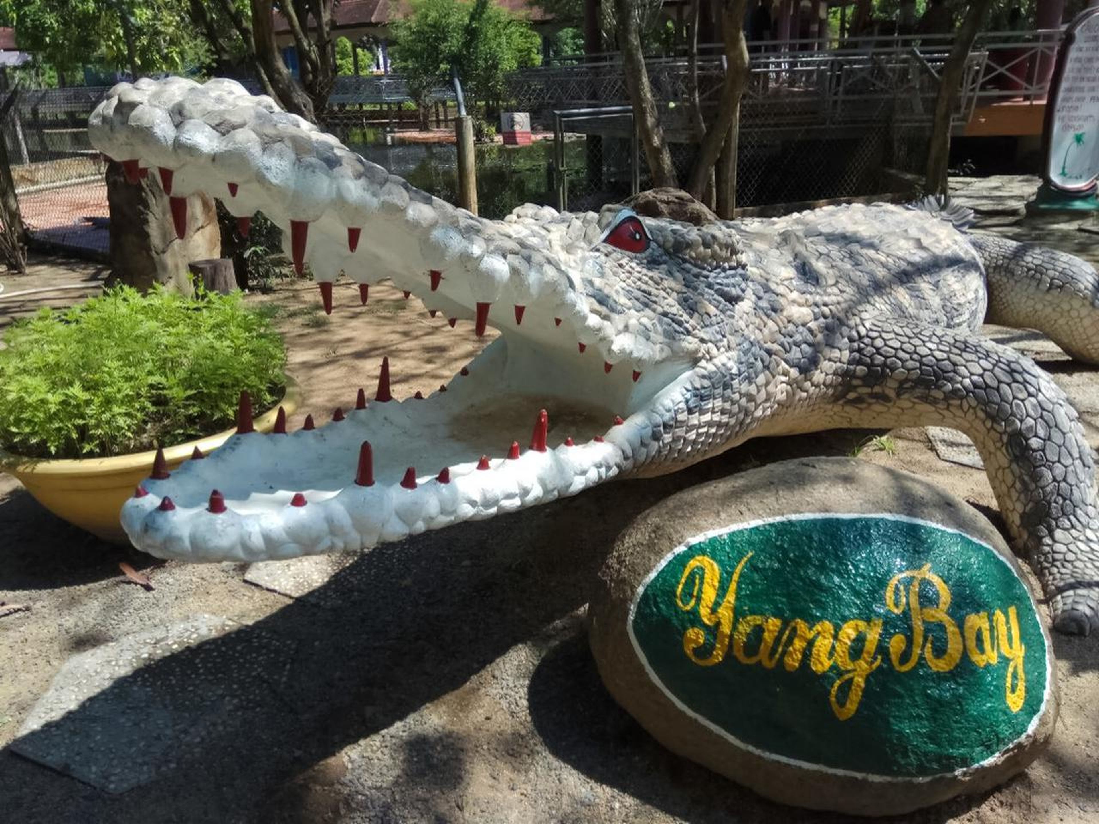 Yang Bay: Discover nature and entertainment. - Hình 25