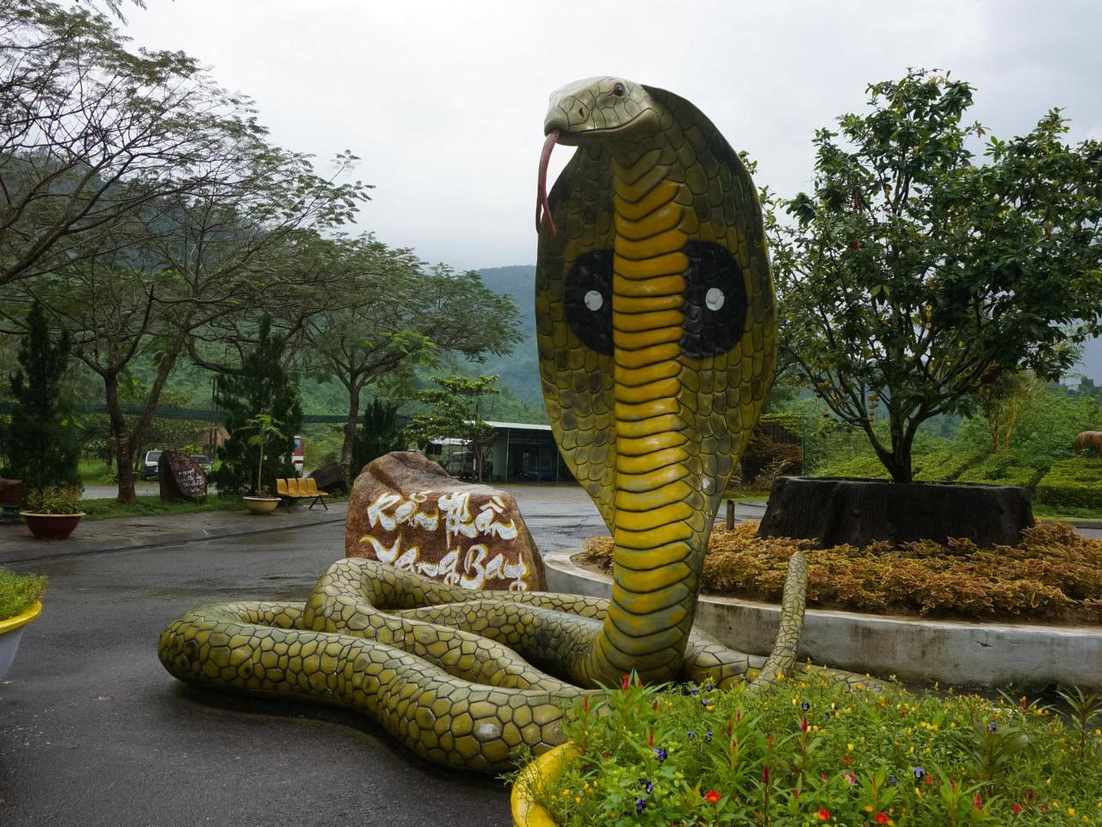 Yang Bay: Discover nature and entertainment. - Hình 30