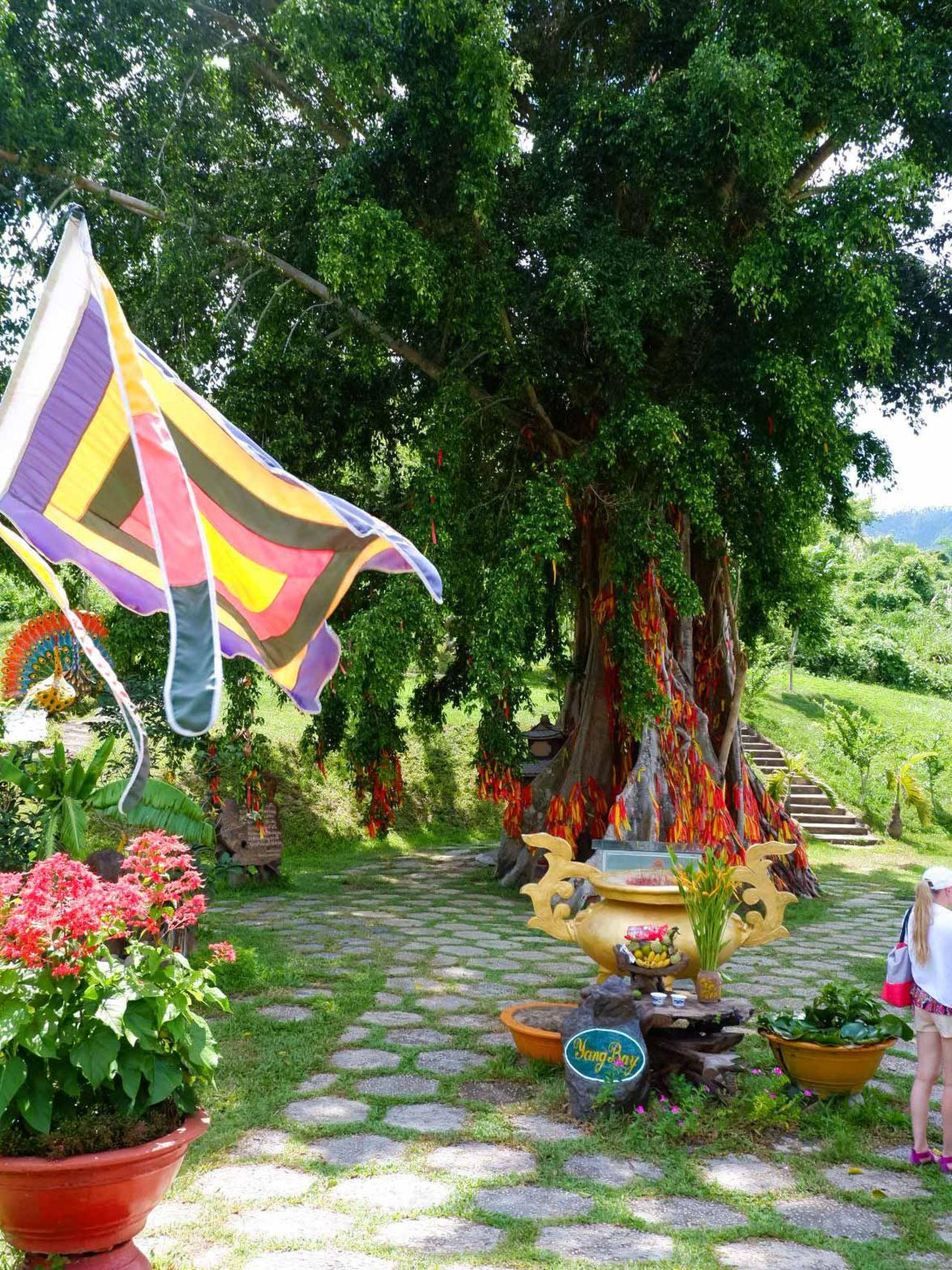 Yang Bay: Discover nature and entertainment. - Hình 1