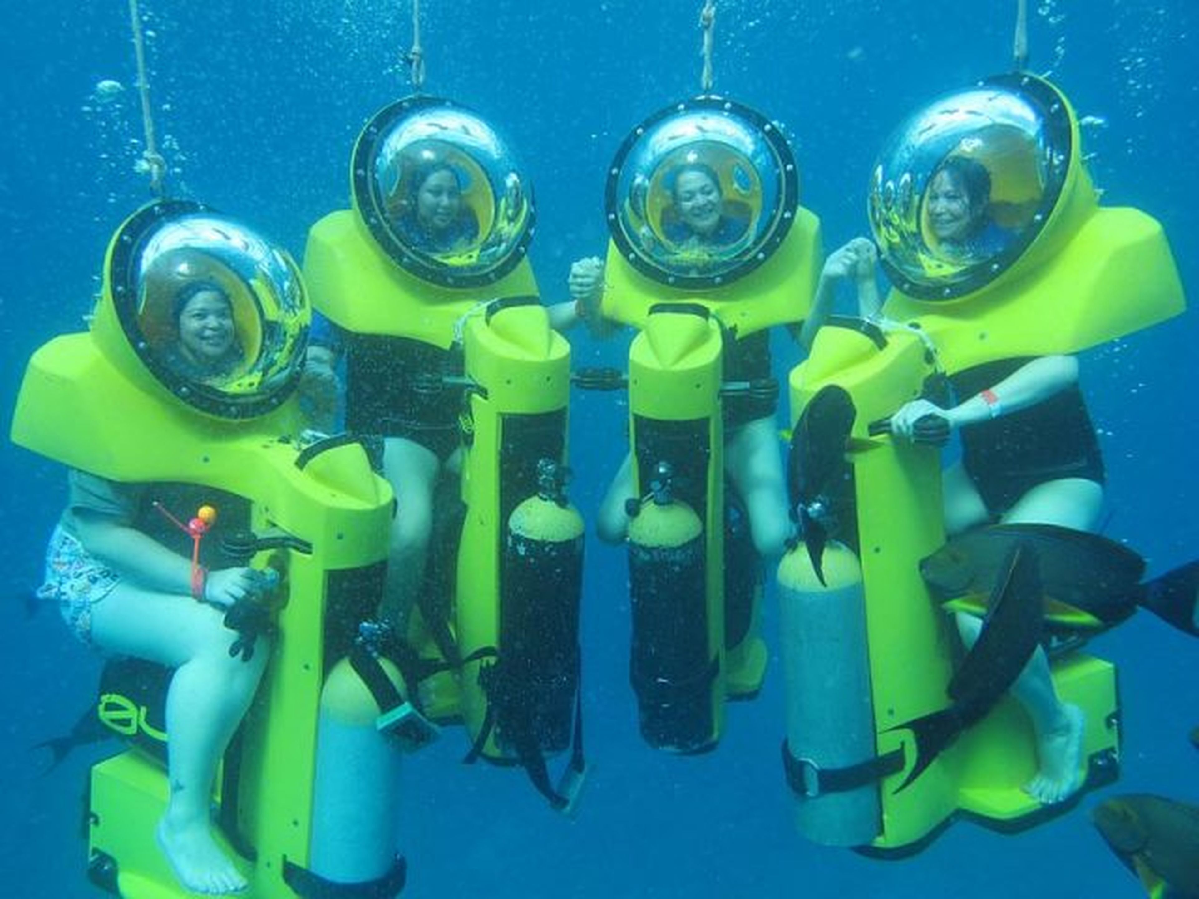 Sealife Nha Trang: An Unmissable Sea Adventure! - Hình 3