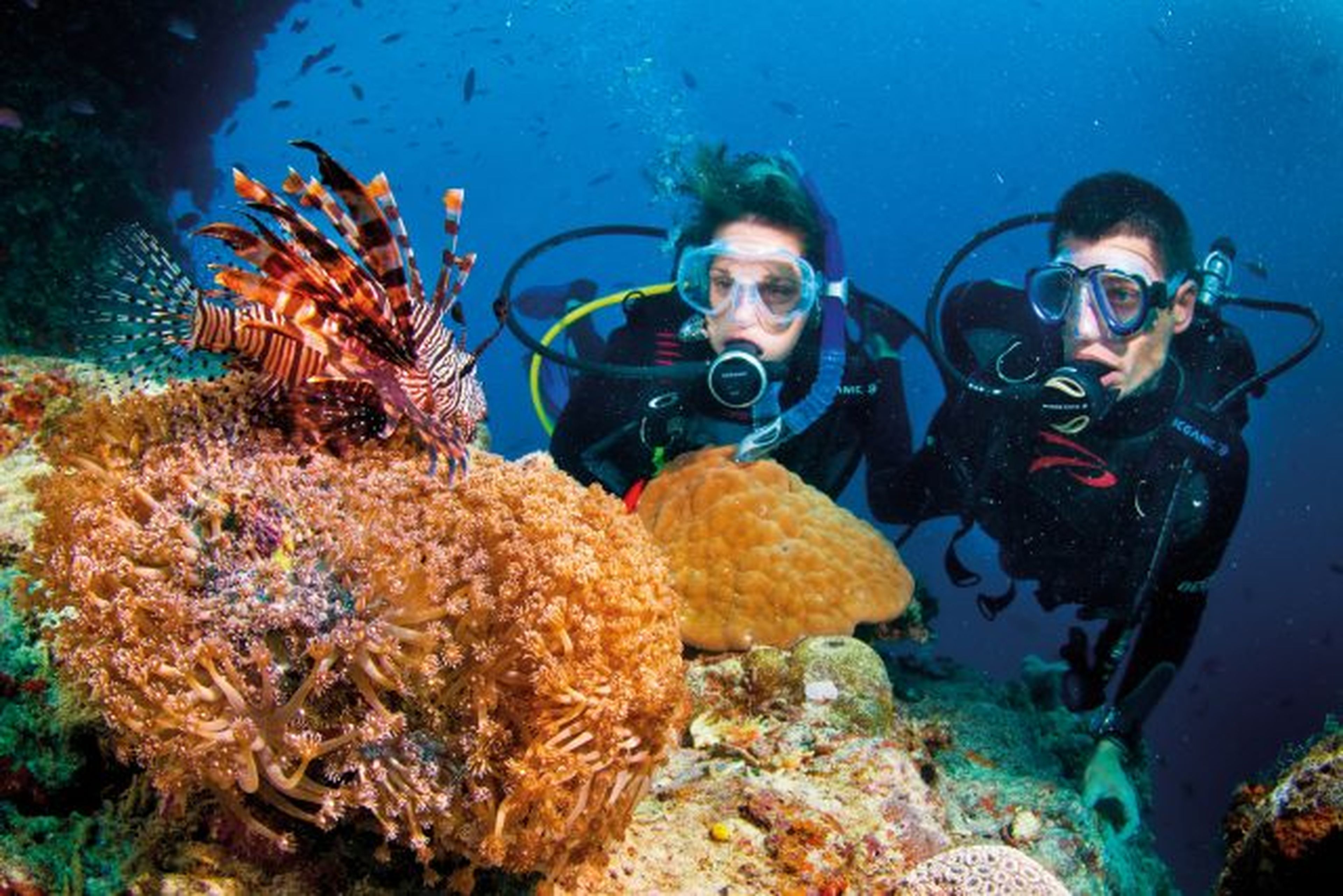 Sealife Nha Trang: An Unmissable Sea Adventure! - Hình 6