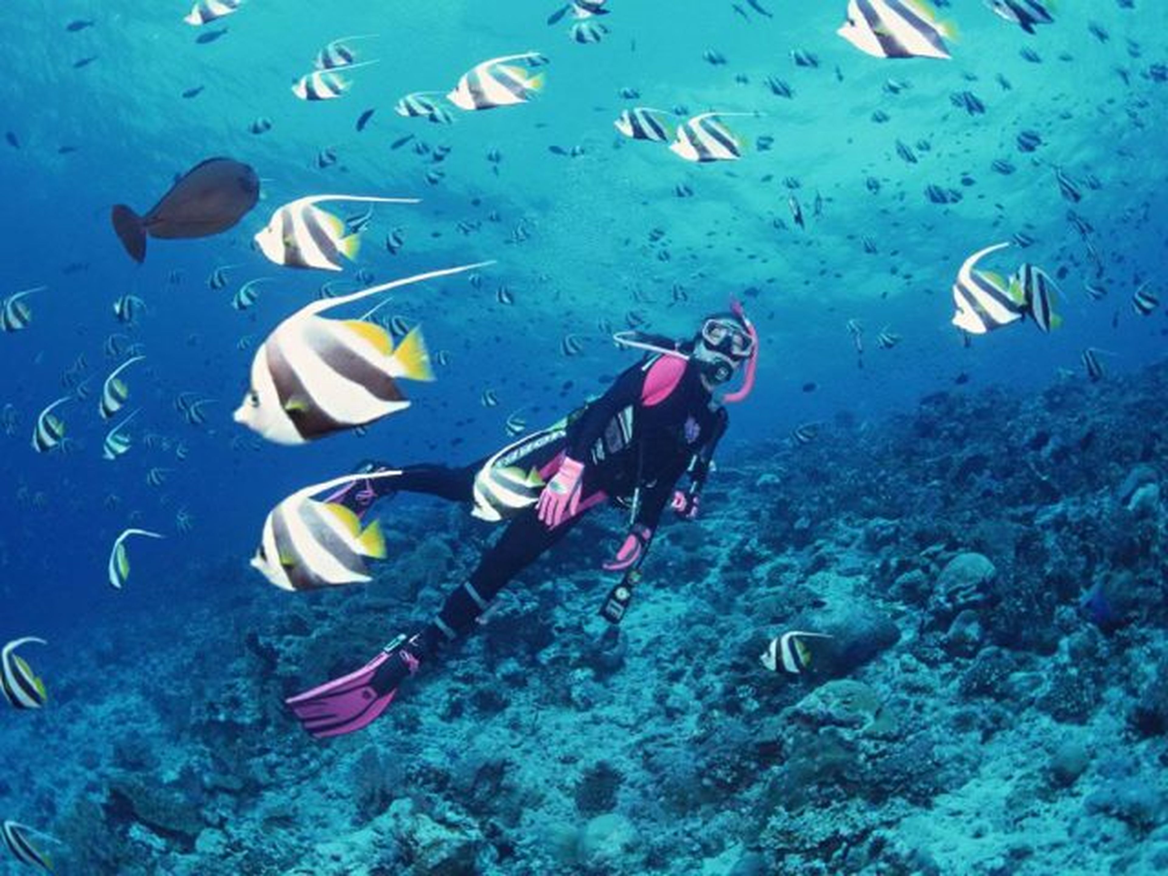 Sealife Nha Trang: An Unmissable Sea Adventure! - Hình 4