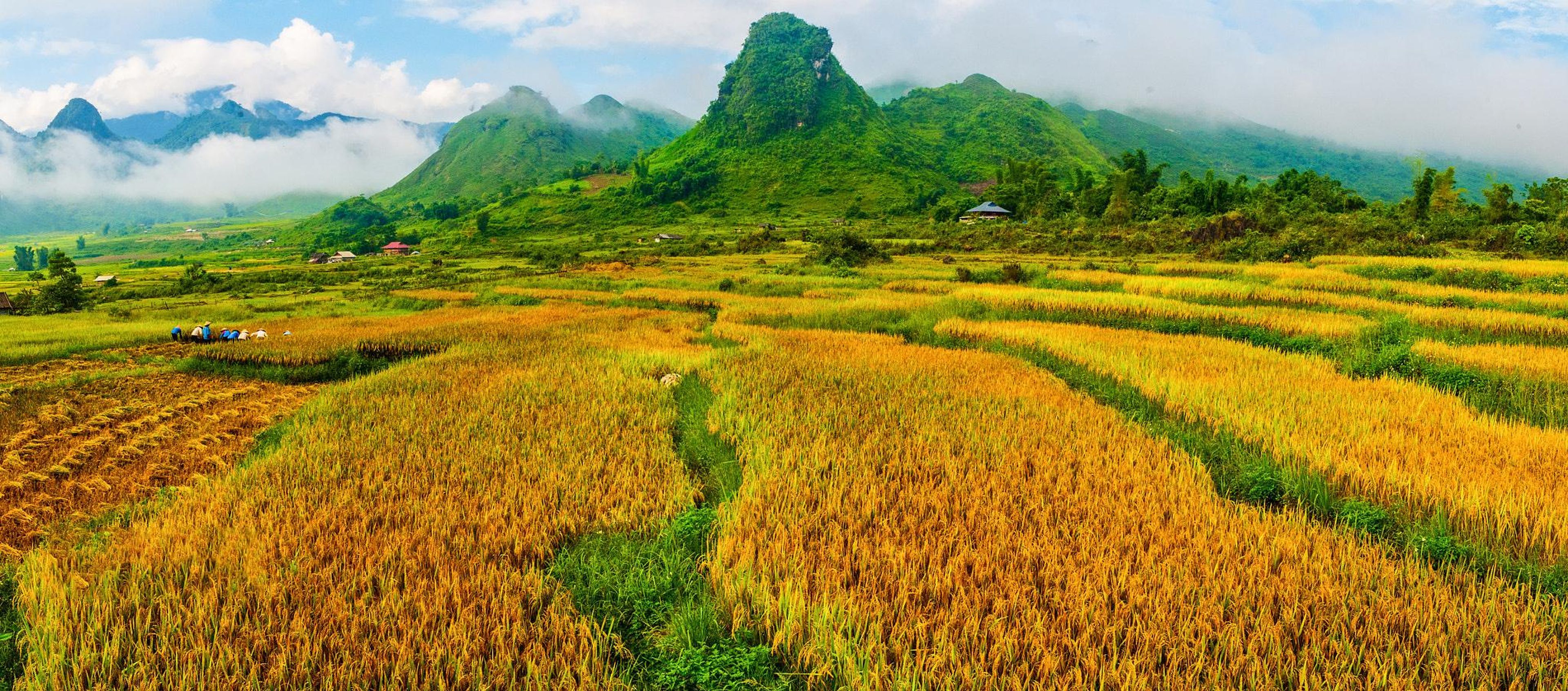 Tour du lịch