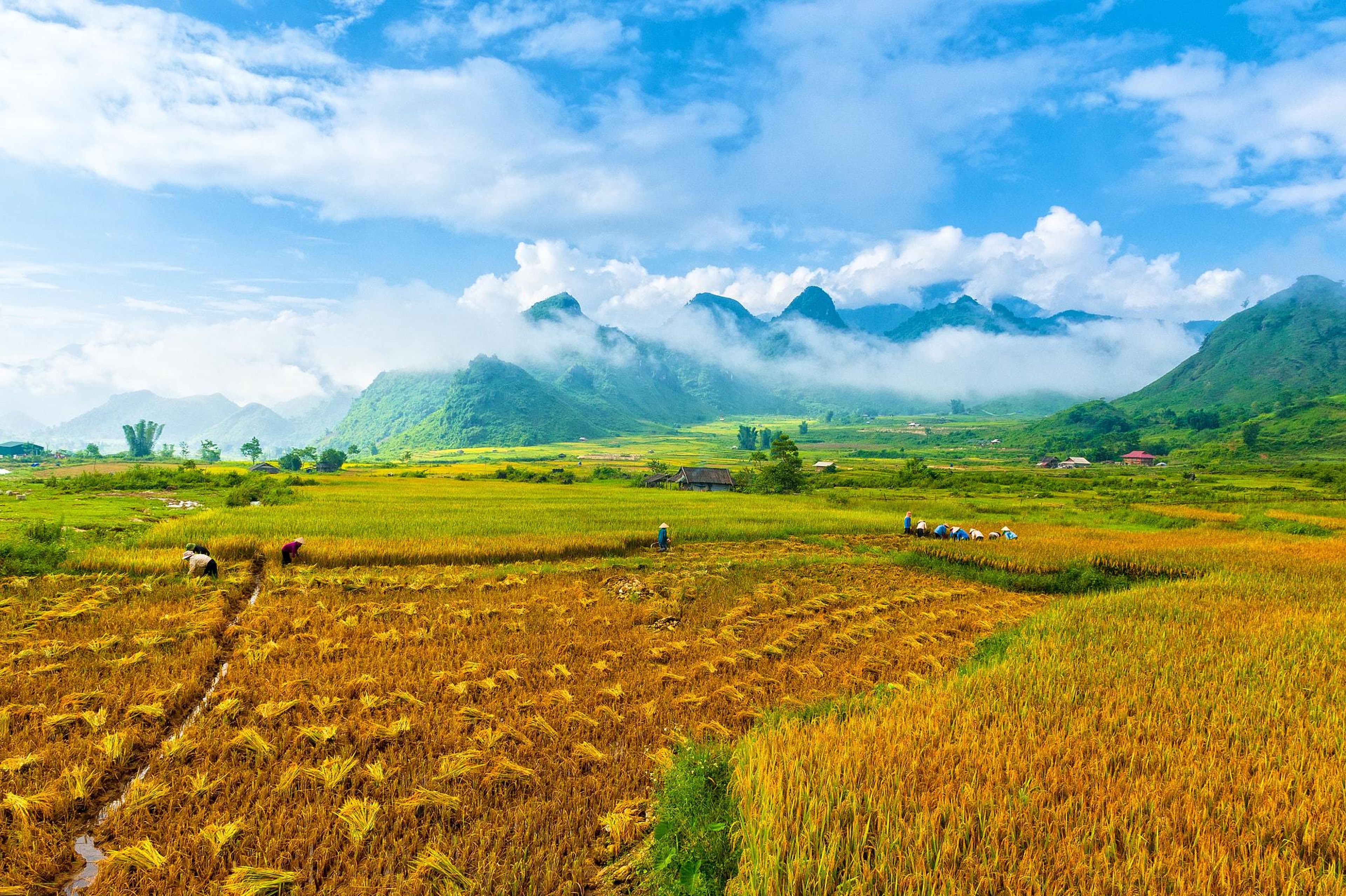 Mua sắm
