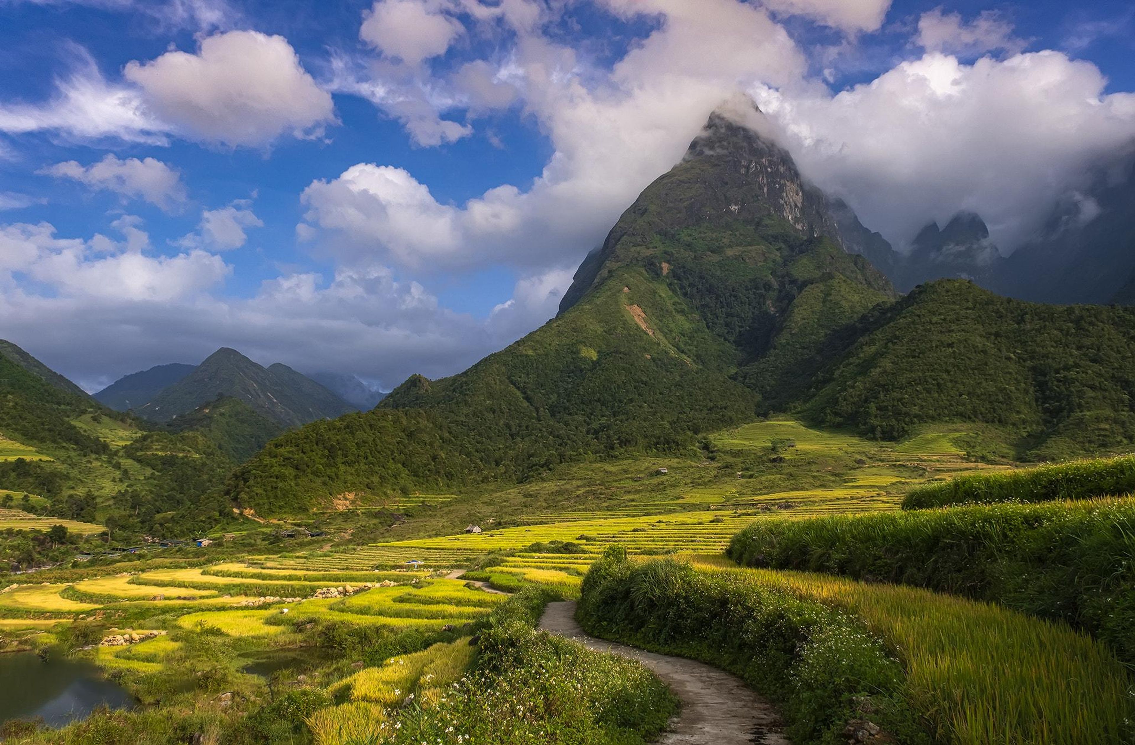Lưu trú