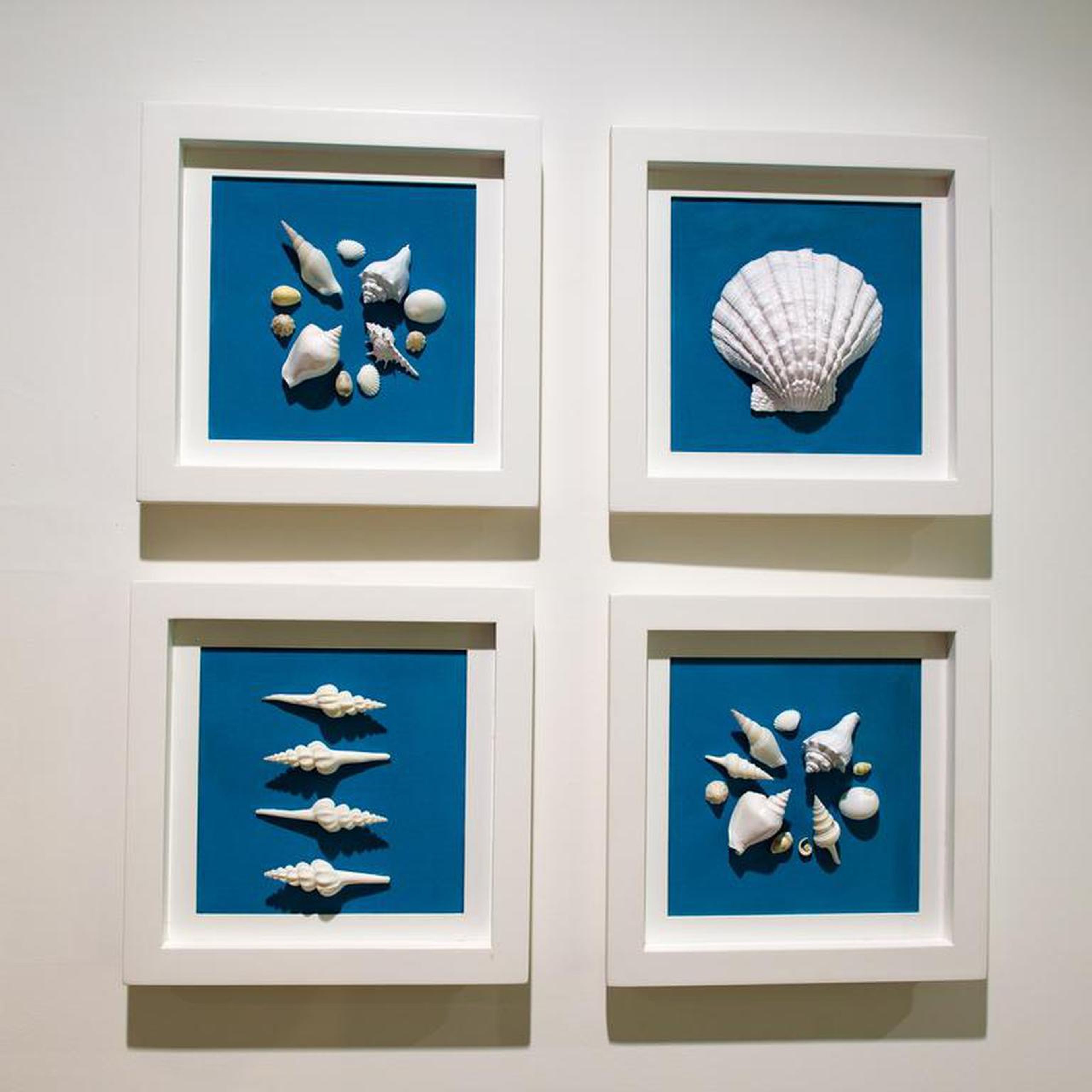 Gallery 3