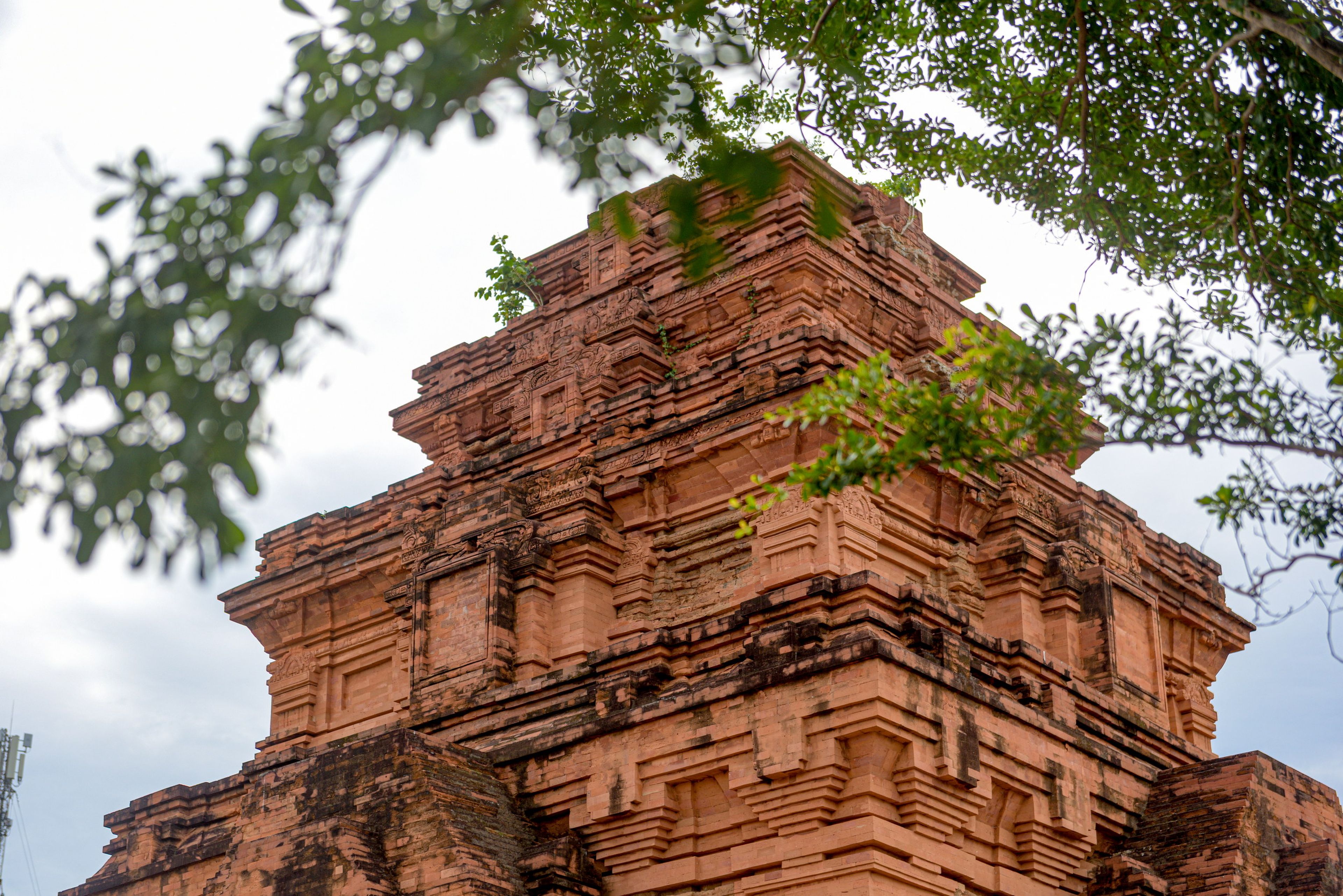 Hoa Lai Towers - Hình 13