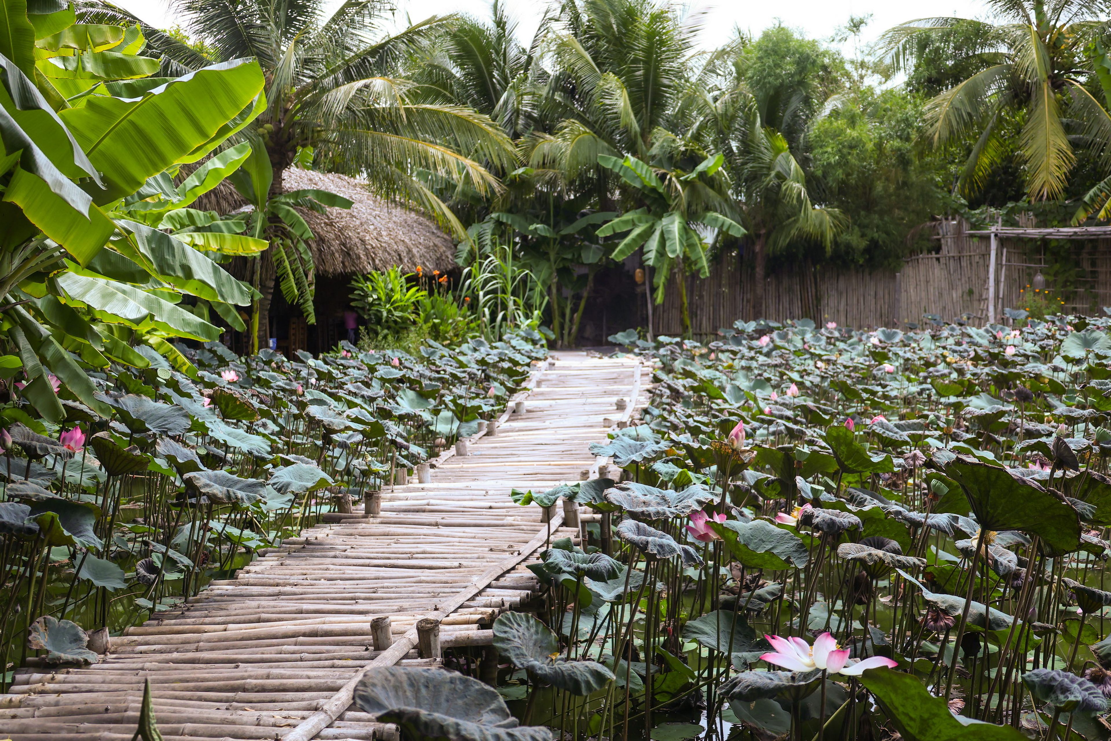 Khu du lịch Nha Trang Xưa - Hình 26