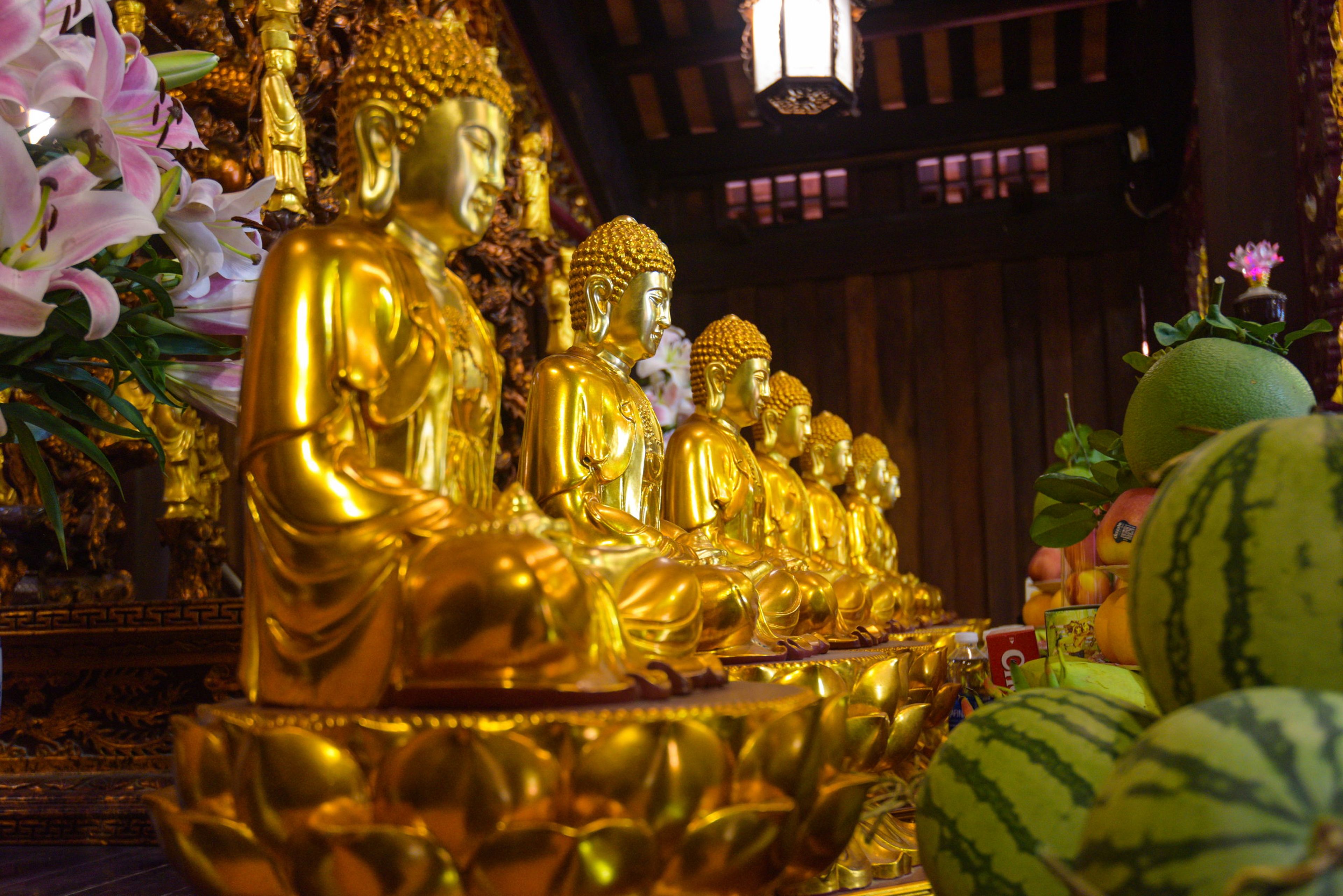 Truc Lam Tinh Vien - Vinpearl Nha Trang - Hình 17