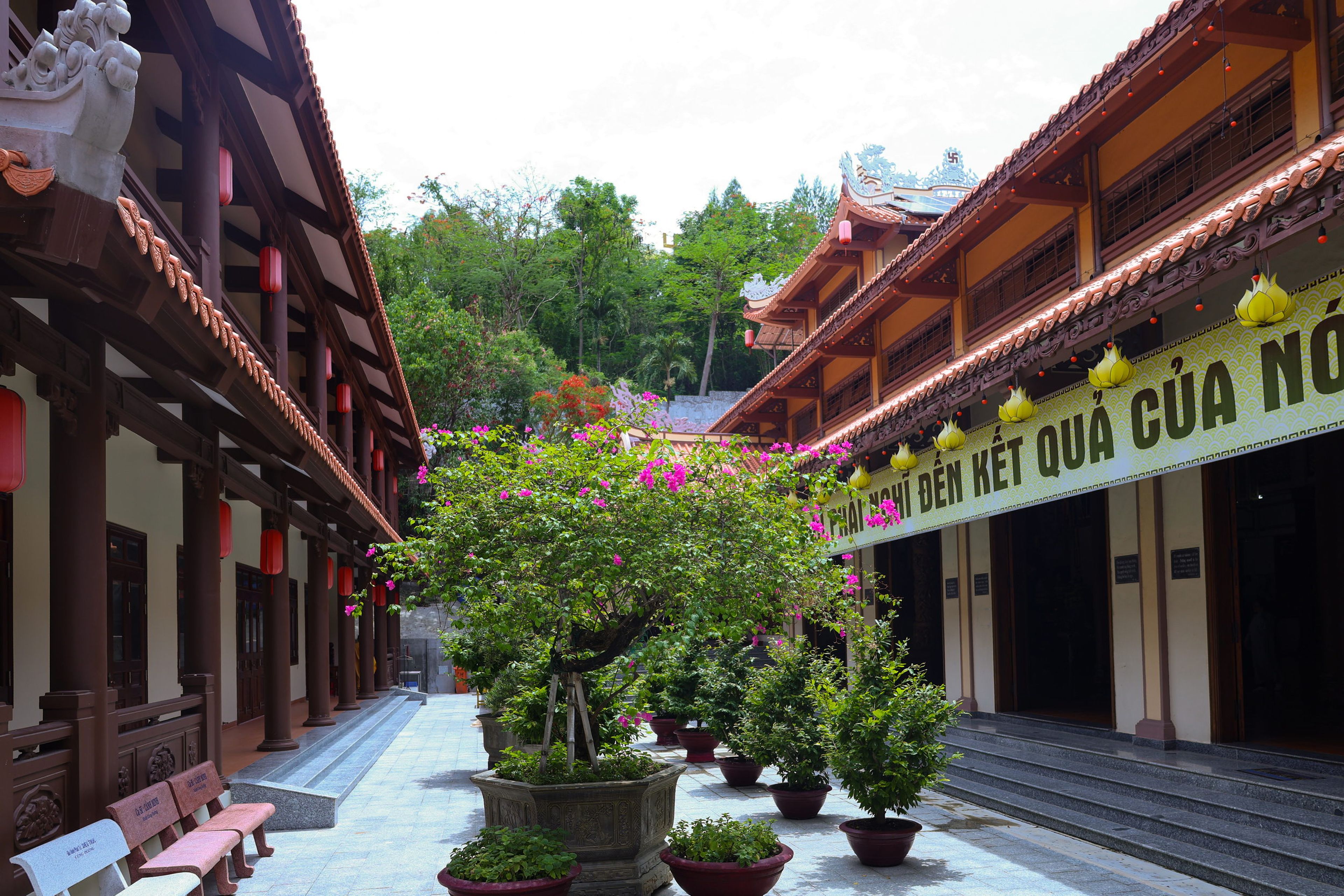 Chùa Long Sơn - Hình 10