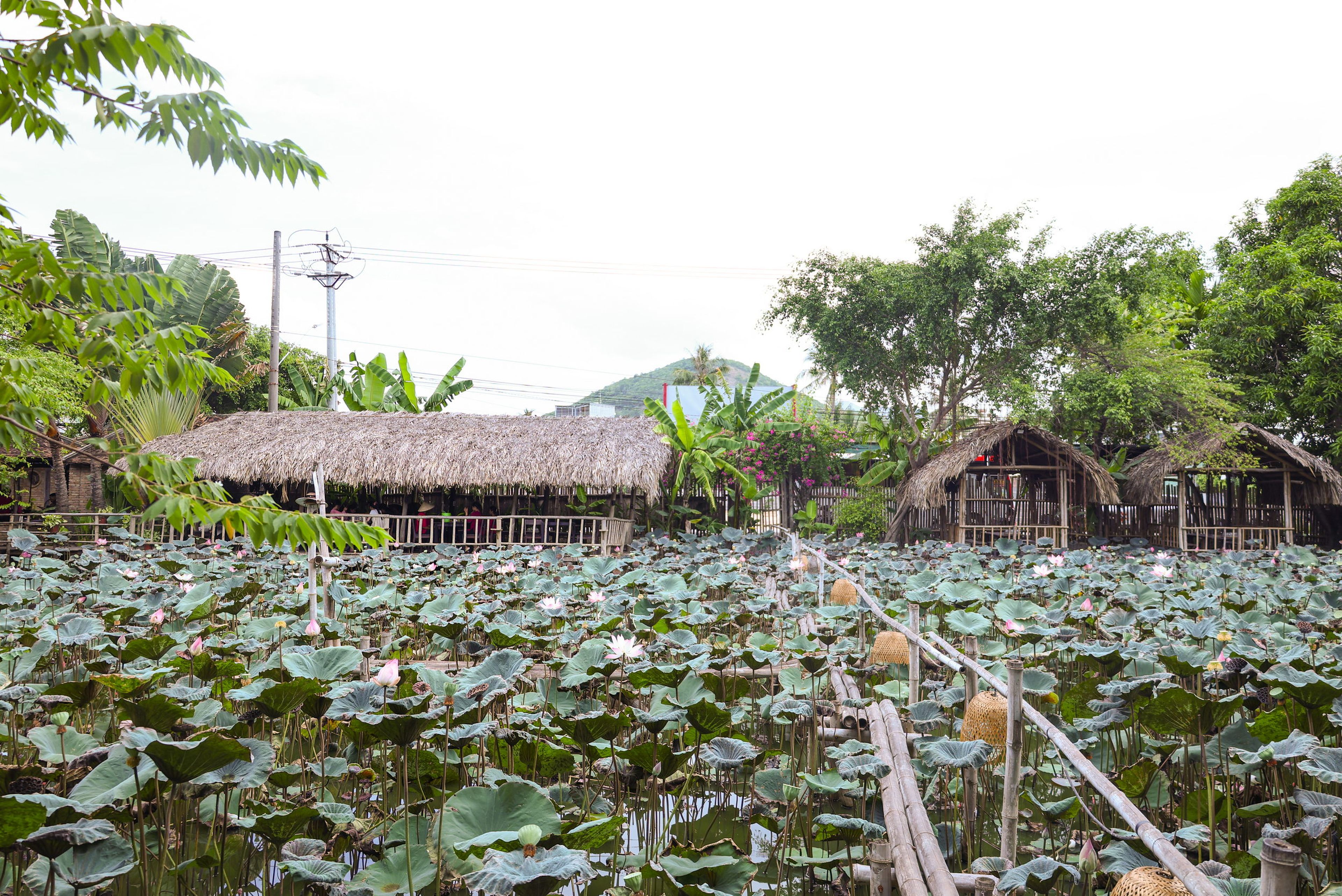 Khu du lịch Nha Trang Xưa - Hình 9