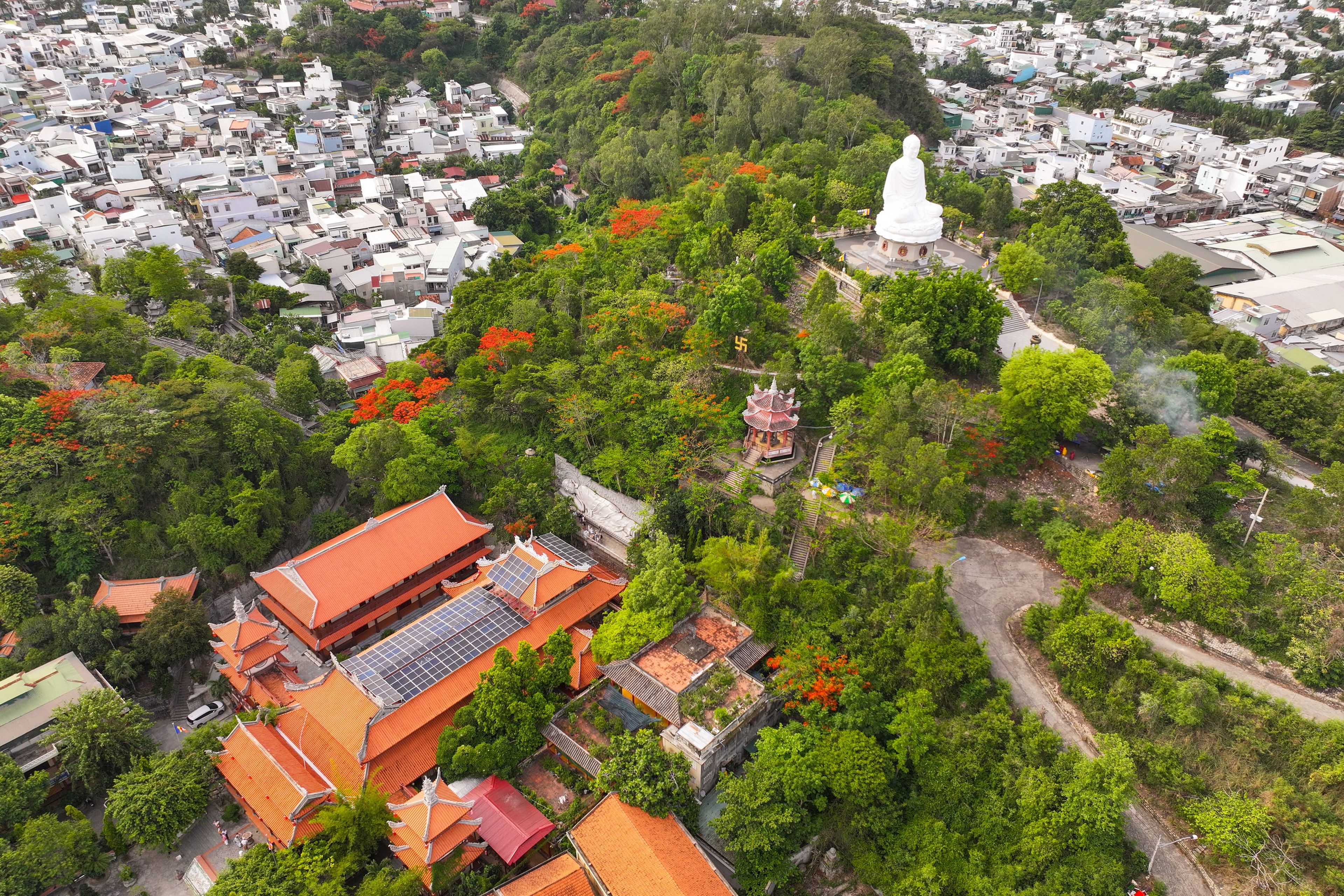 Chùa Long Sơn - Hình 1