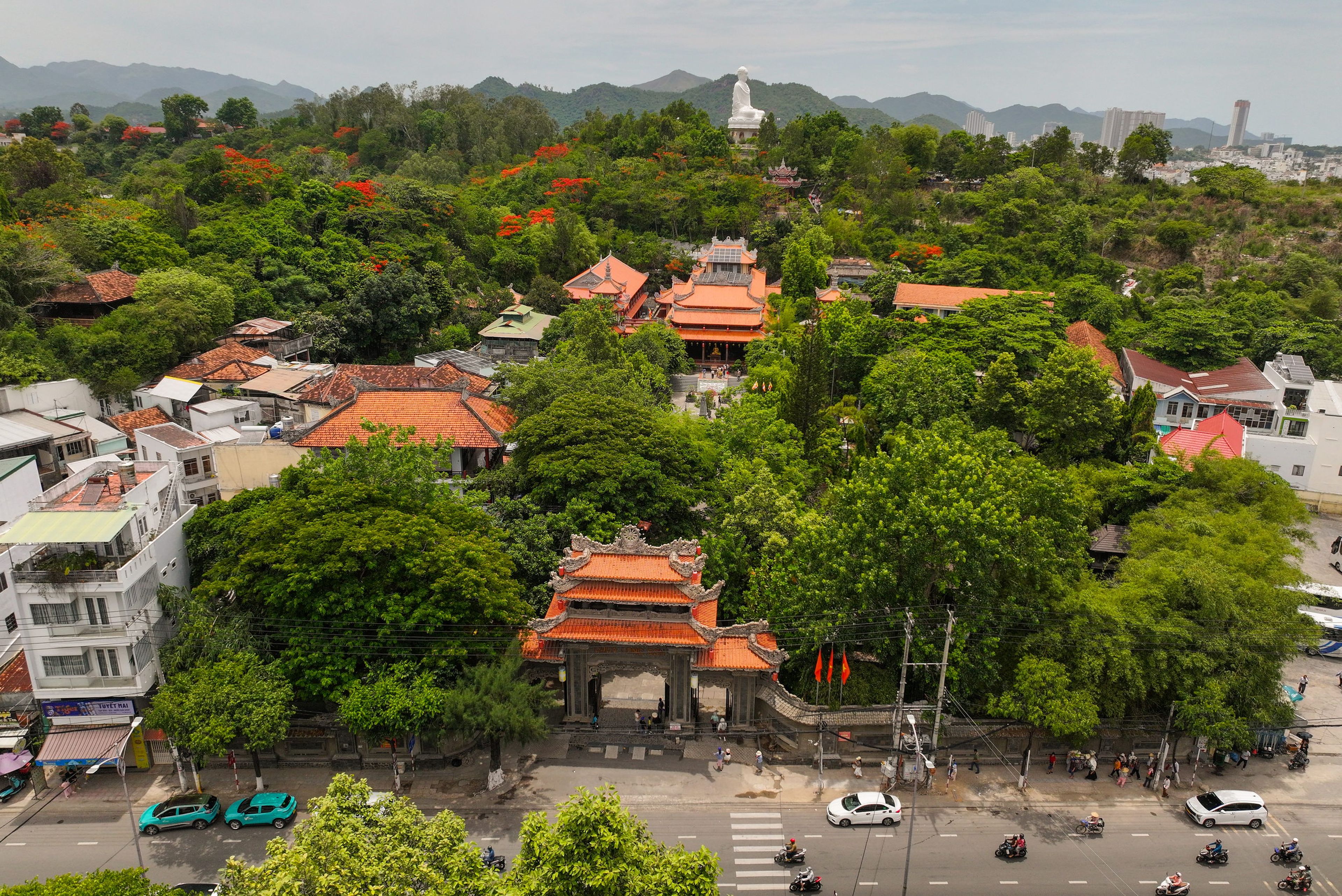 Chùa Long Sơn - Hình 5