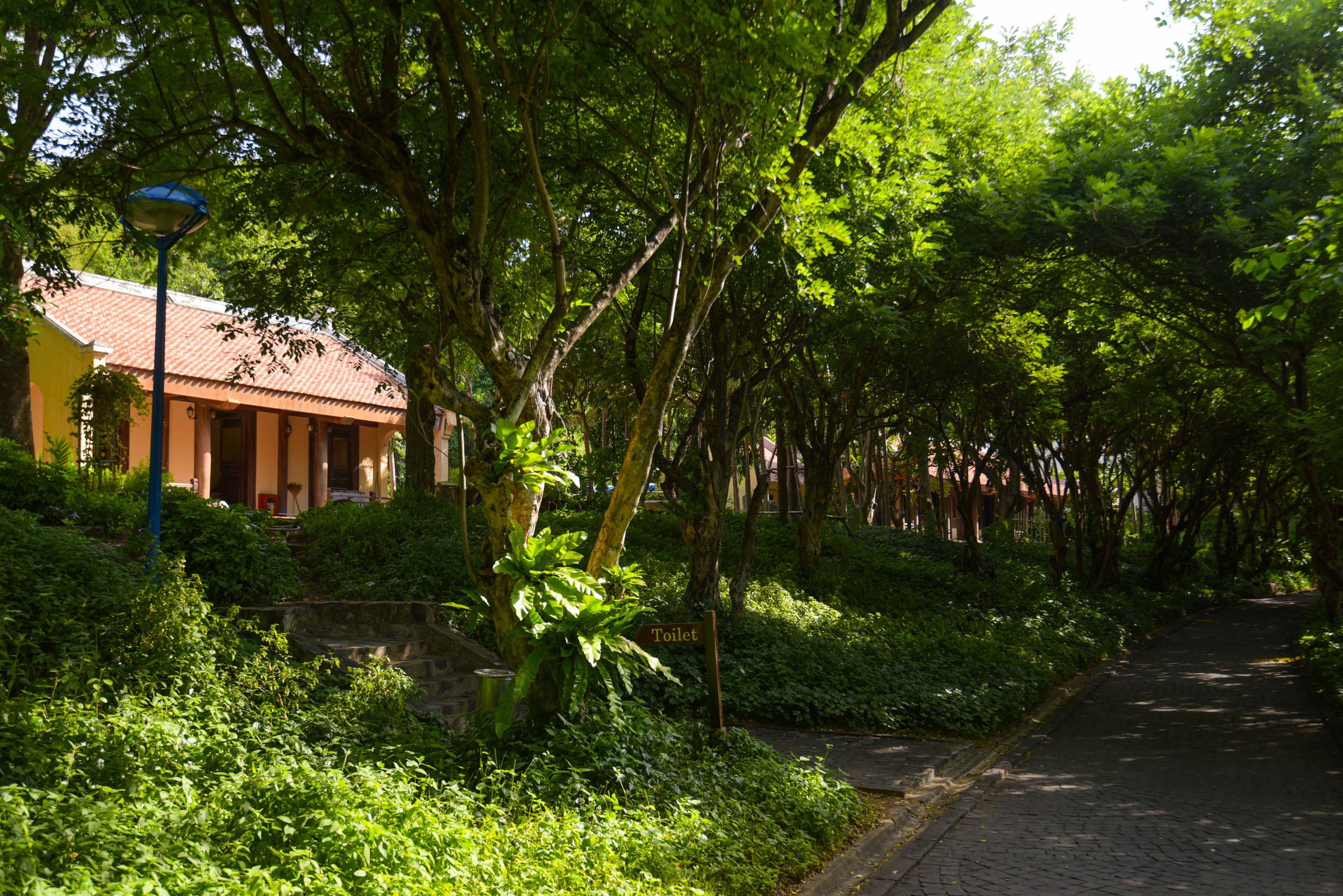 Truc Lam Tinh Vien - Vinpearl Nha Trang - Hình 37