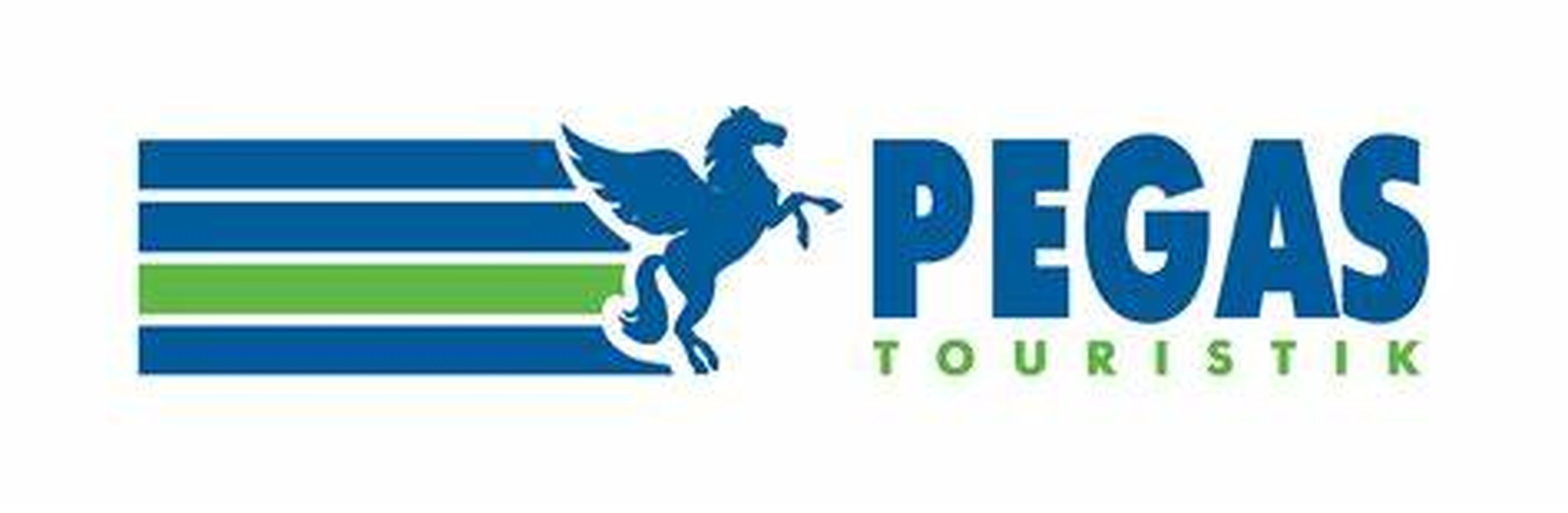 Pegas Misr Viet Nam Travel Company Limited - Hình 4