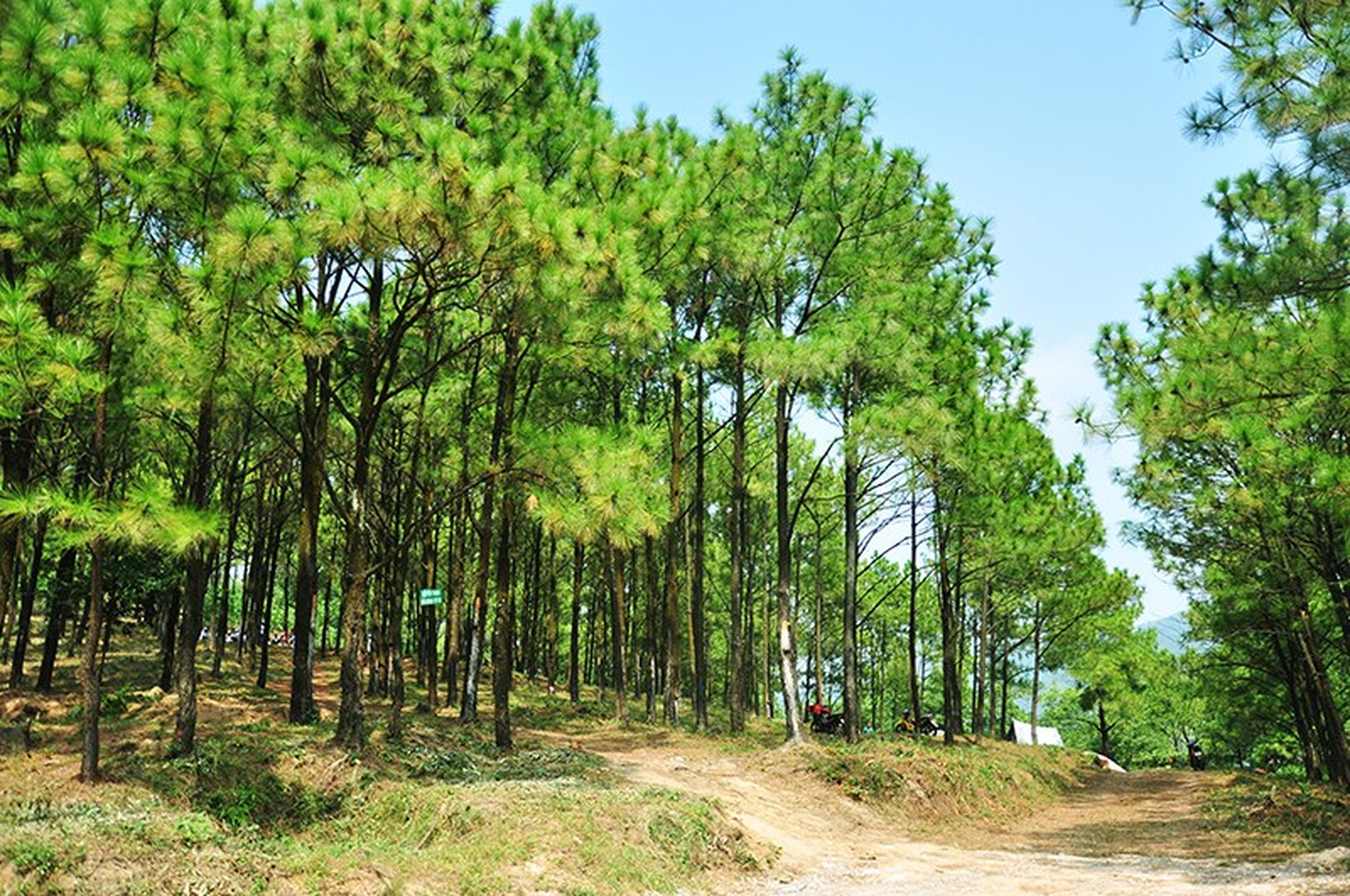 Yên Trung Lake – A Romantic Ecotourism Destination in Quảng Ninh - Hình 8