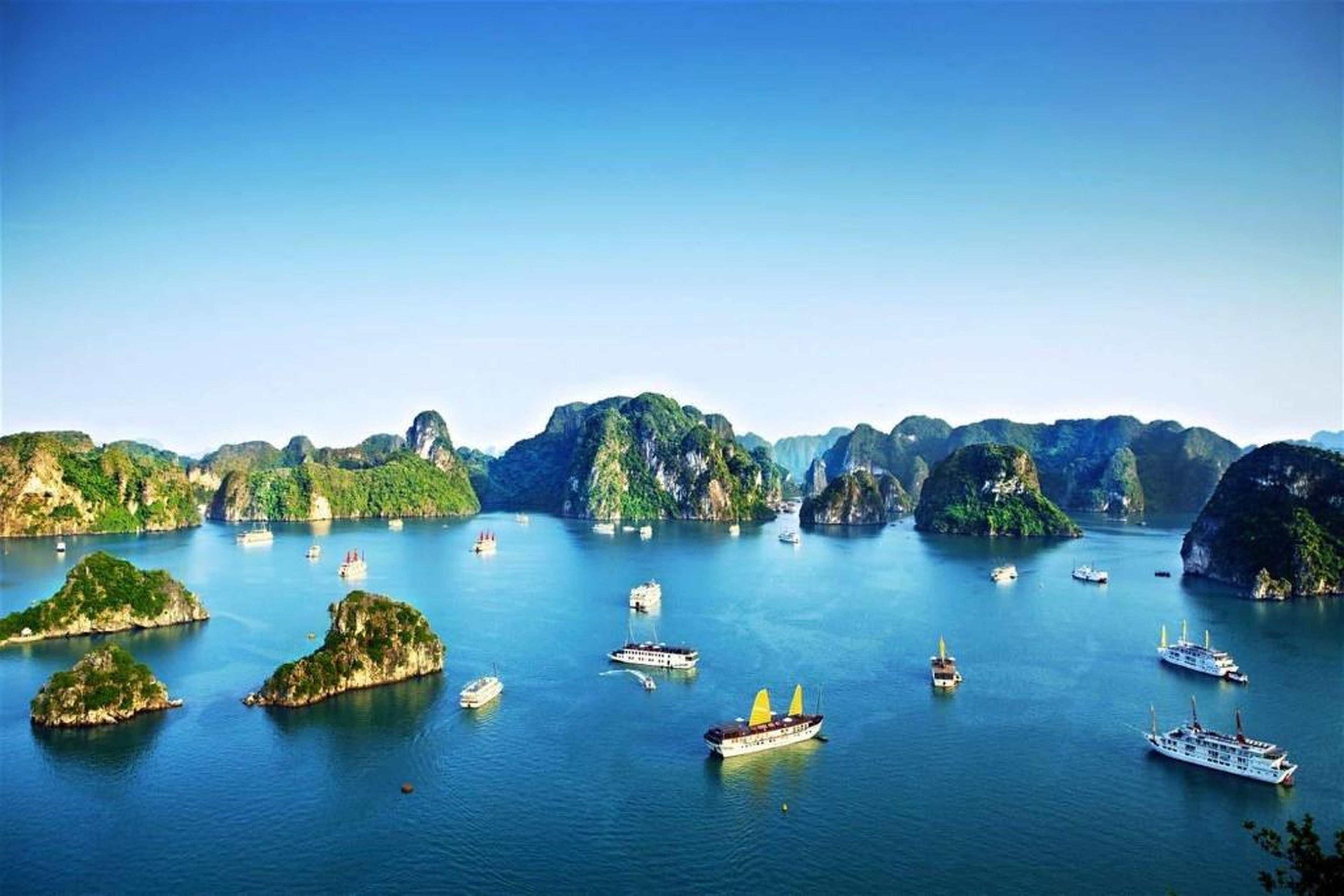 Halo Bay Homestay - Hình 4