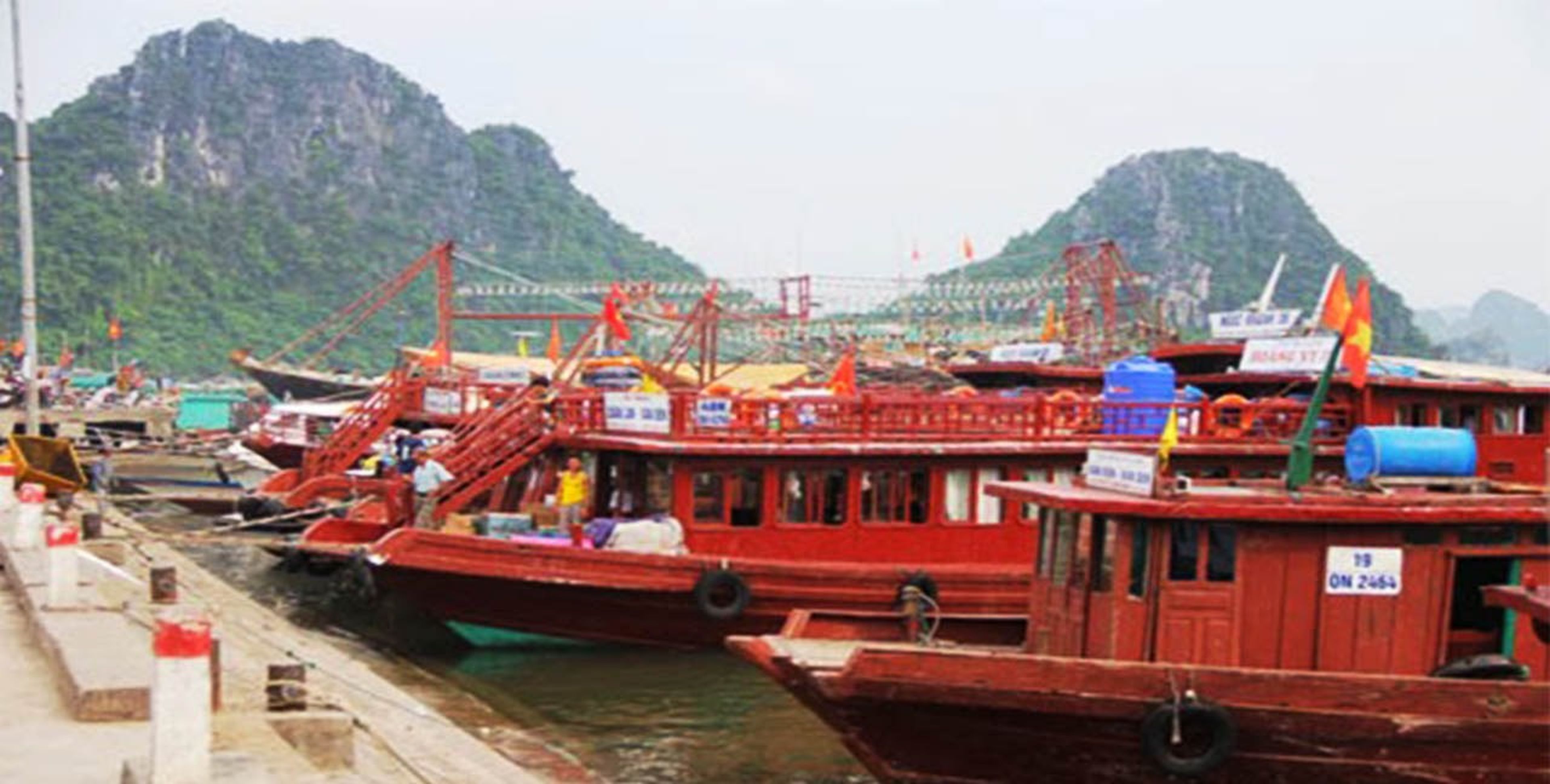 Tàu cao tốc đi Cô Tô: Thông tin chi tiết, giá vé và lịch trình - Hình 2