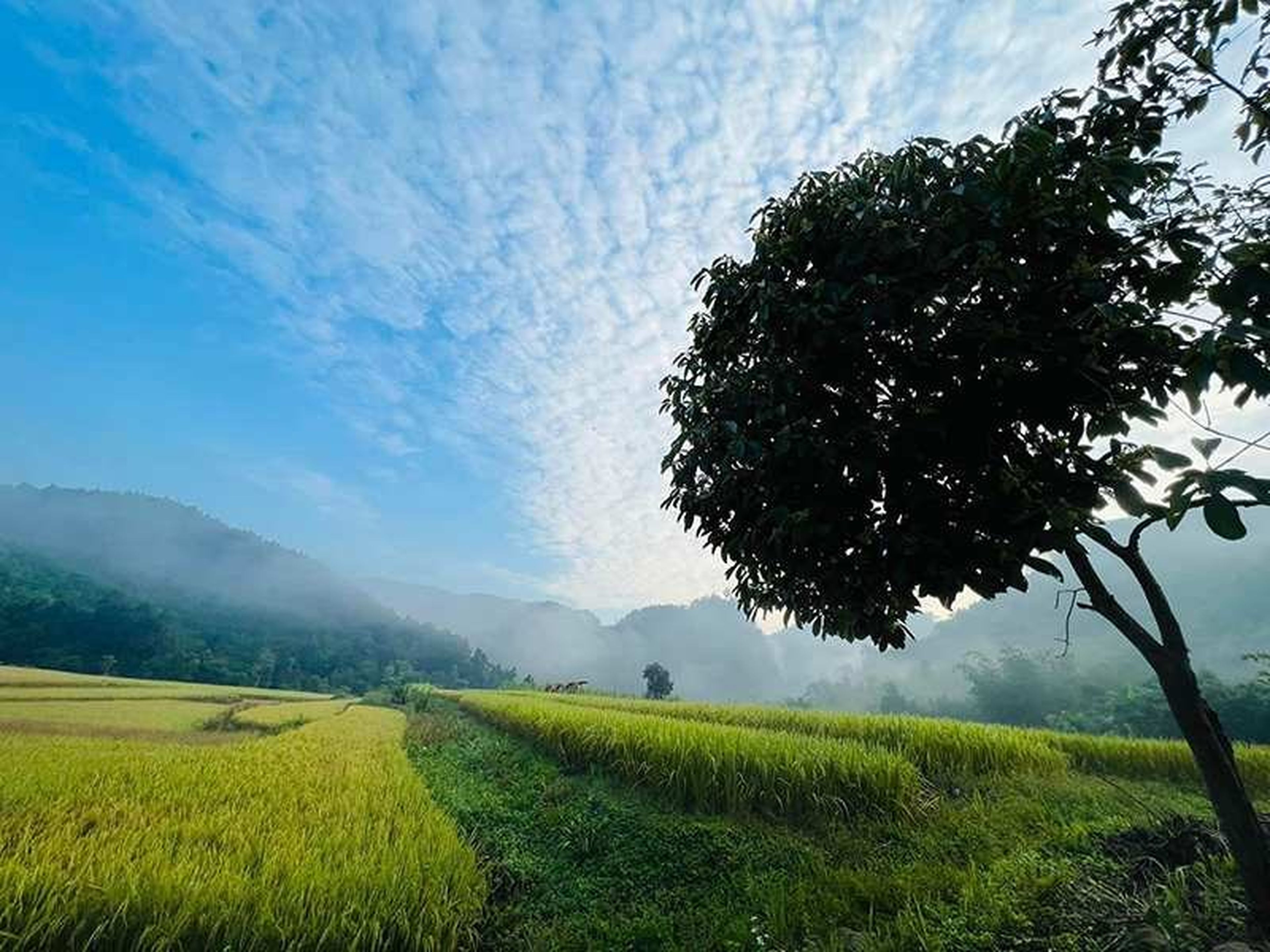 Đến Kỳ Thượng để chiêm ngắm cảnh sắc yên bình của làng người Dao - Hình 5