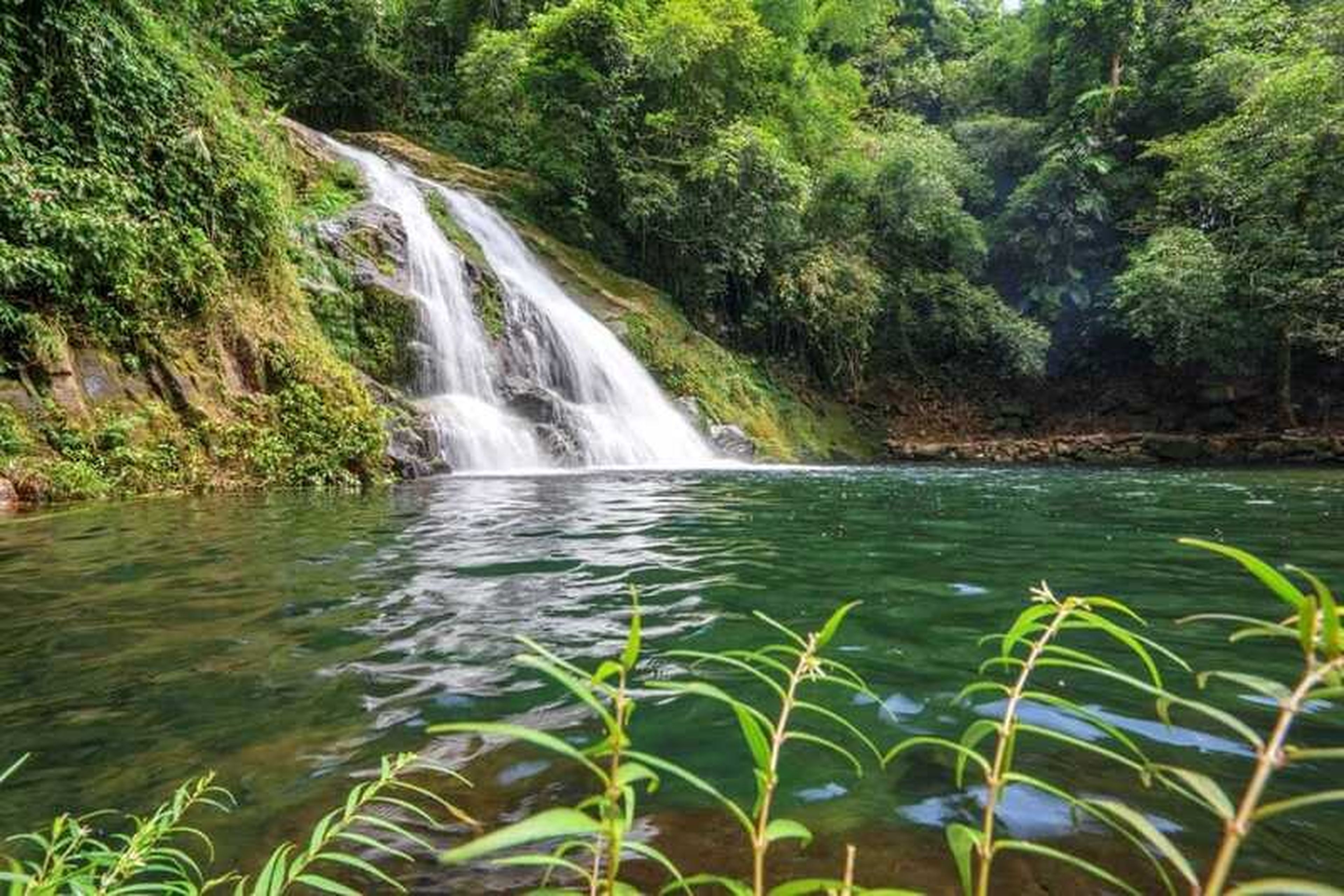 Du lịch Ba Chẽ Quảng Ninh, hành trình khám phá rừng tràm, sông cổ và di sản - Hình 2