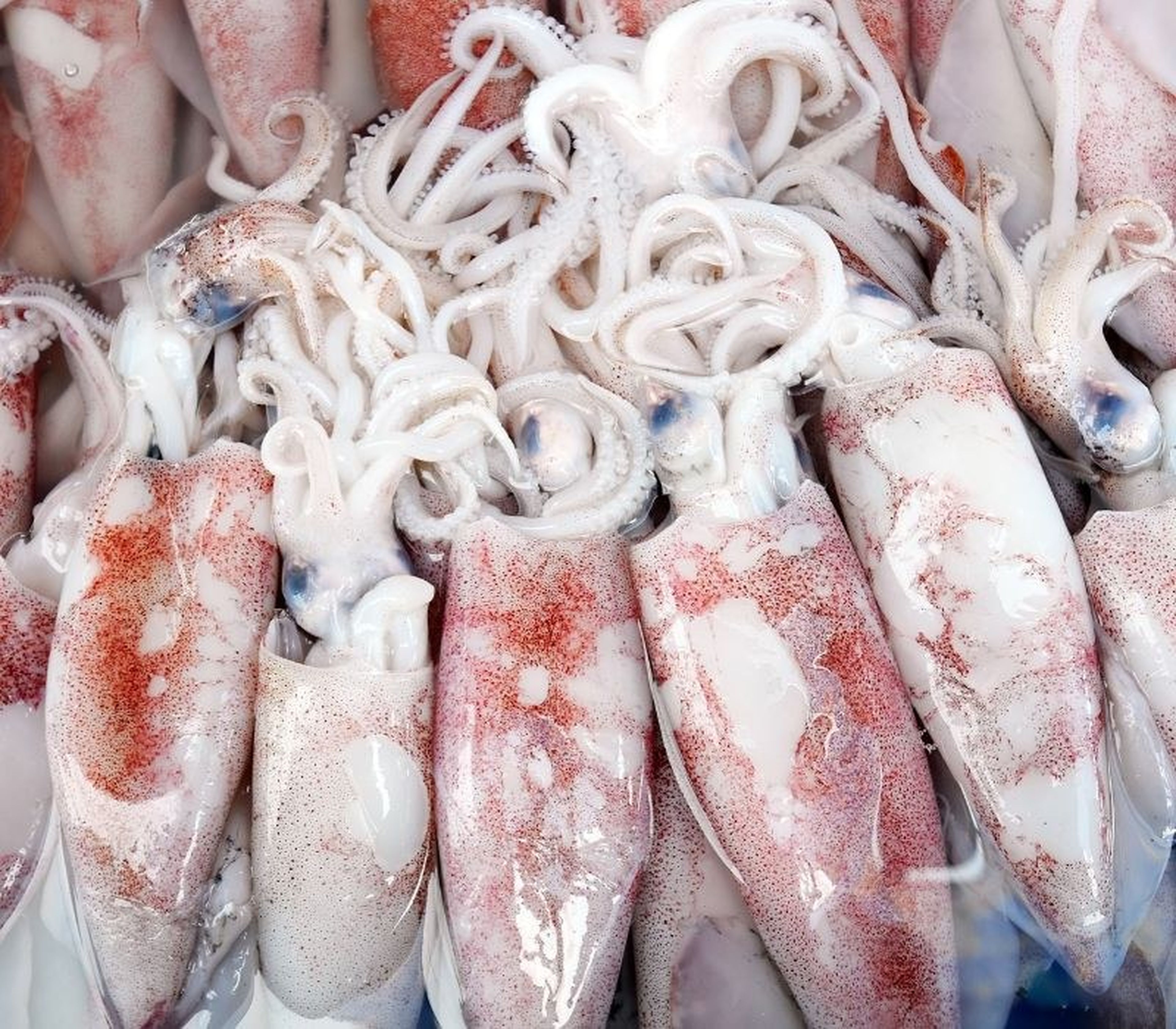 Quang Ninh Seafood: Culinary Quintessence from a Sea That Leaves a Lasting Impression - Hình 3