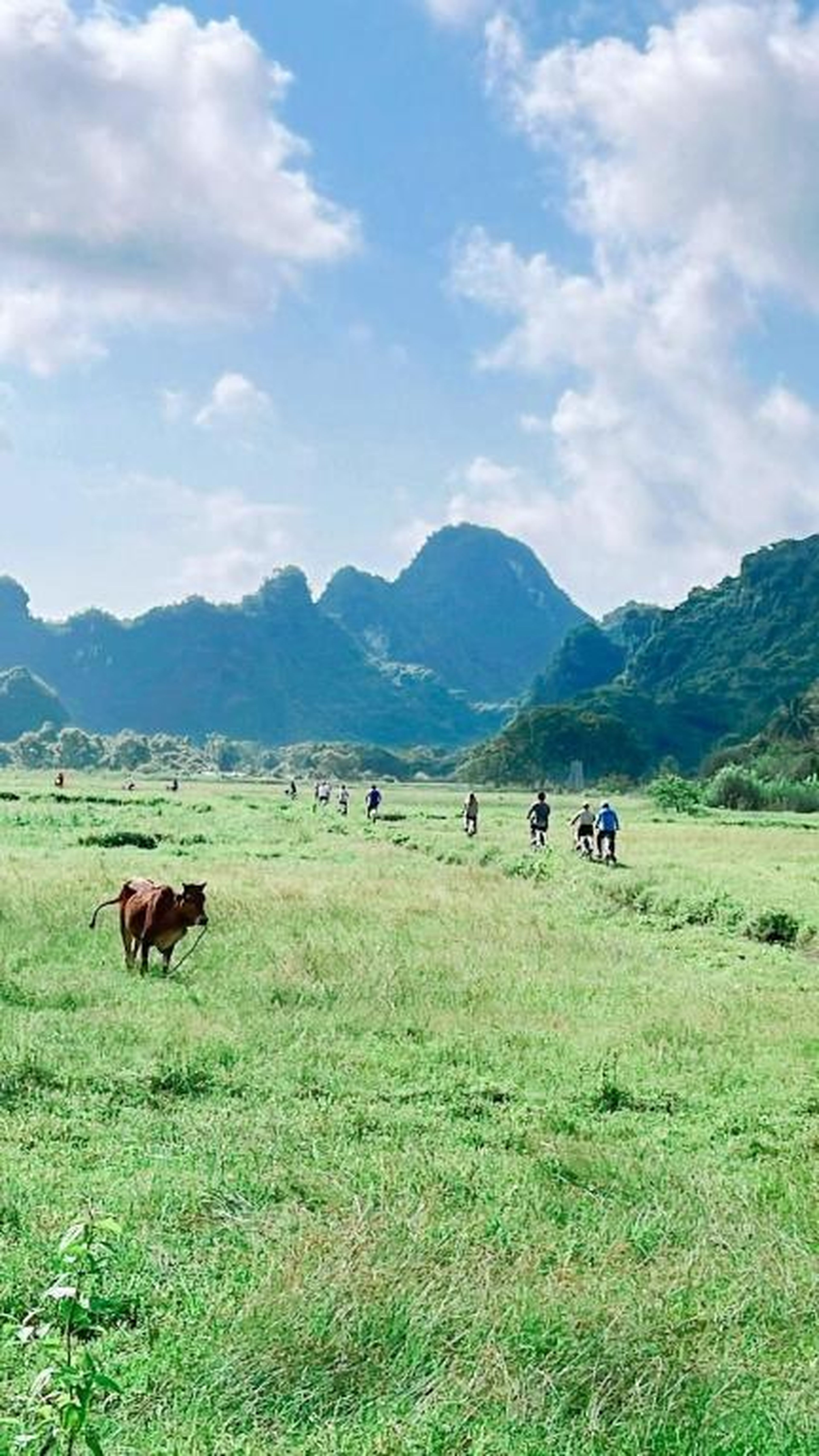 UniCharm Cruise - Hidden Route 2 Bays & Viet Hai village - Hình 40