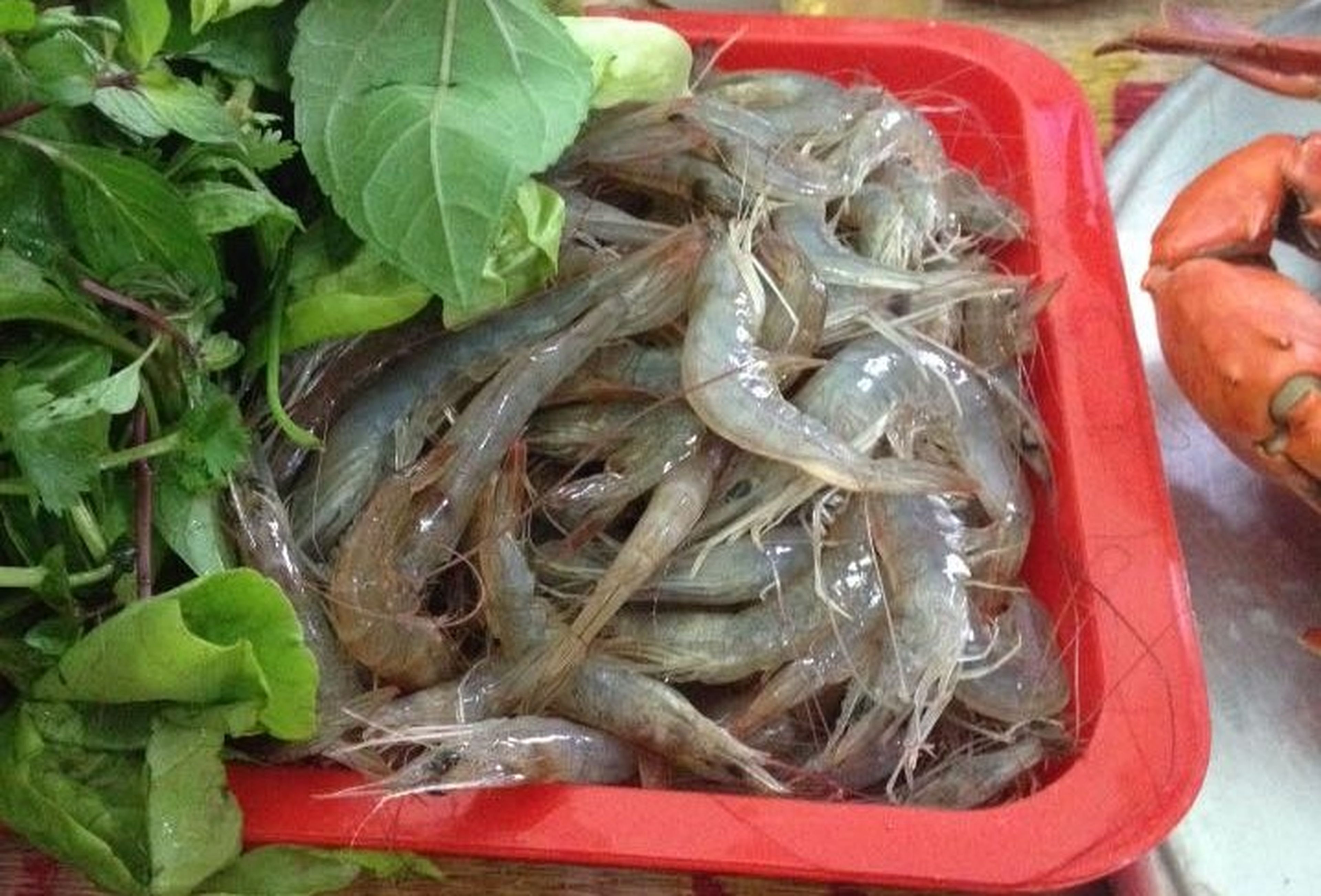 Quảng Yên虾肉饼——白藤乡间款待宾客的美食礼物 - Hình 1
