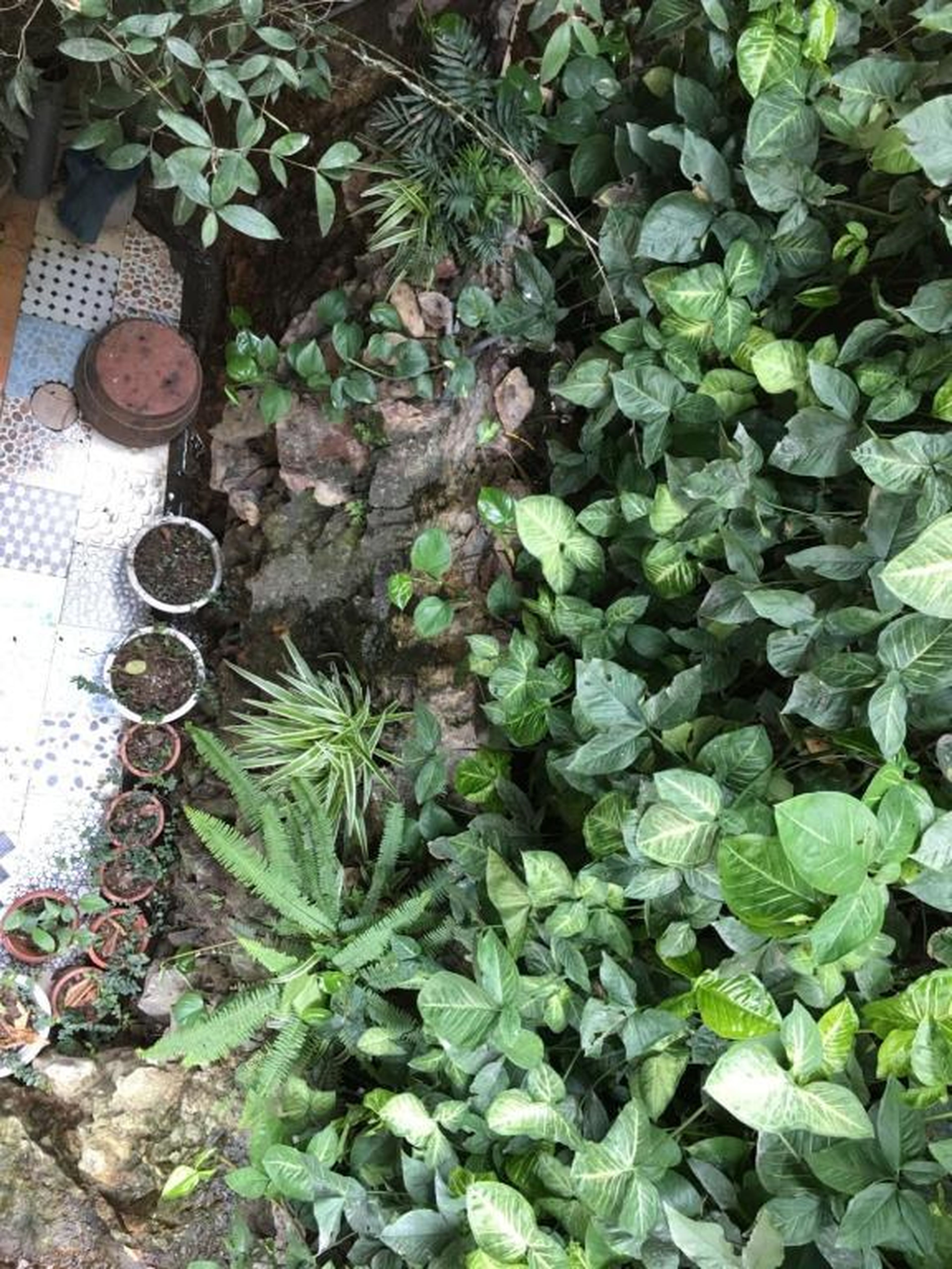 Halo Bay Homestay - Hình 48