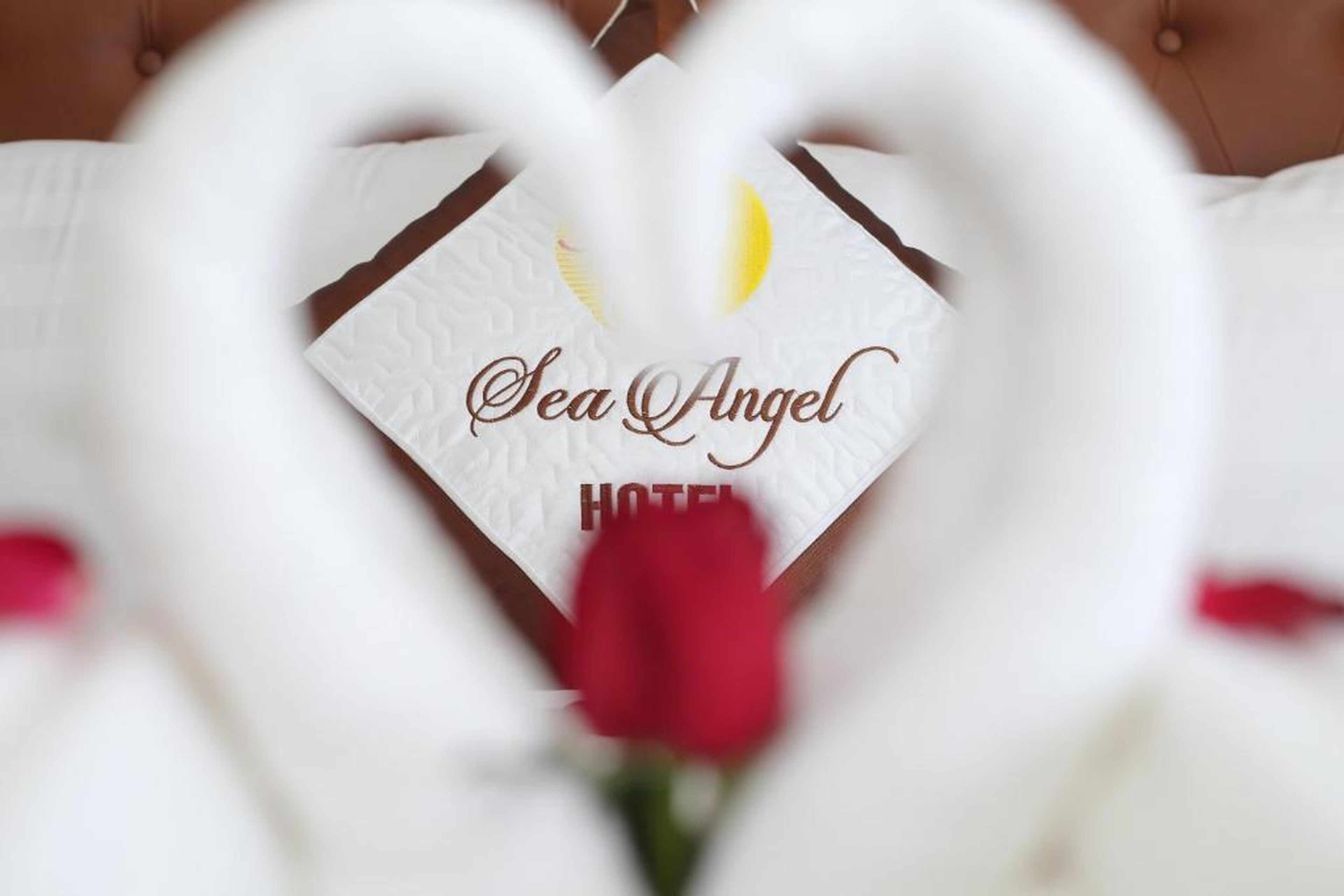 Sea Angel Hotel Halong - Hình 38