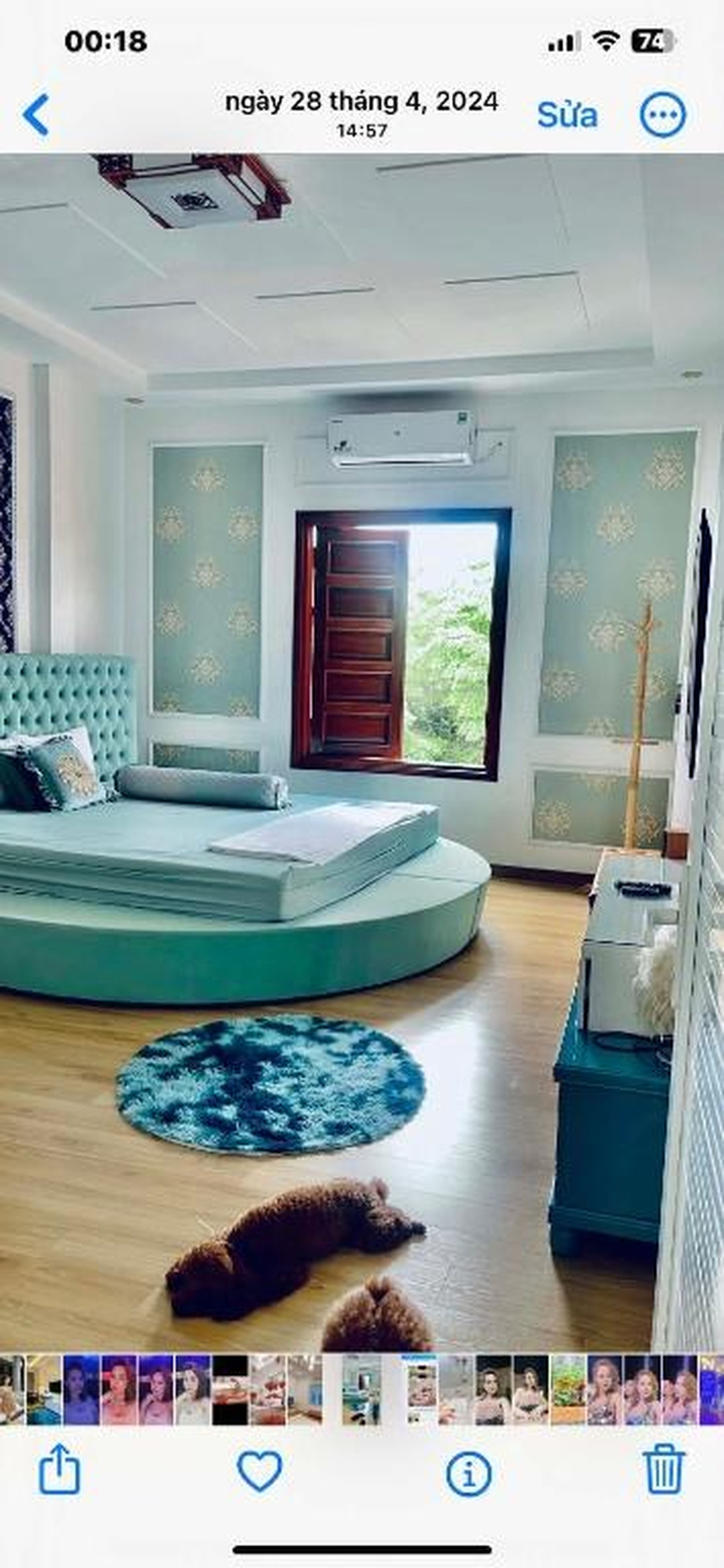 Luxury hotel t&l - Hình 6