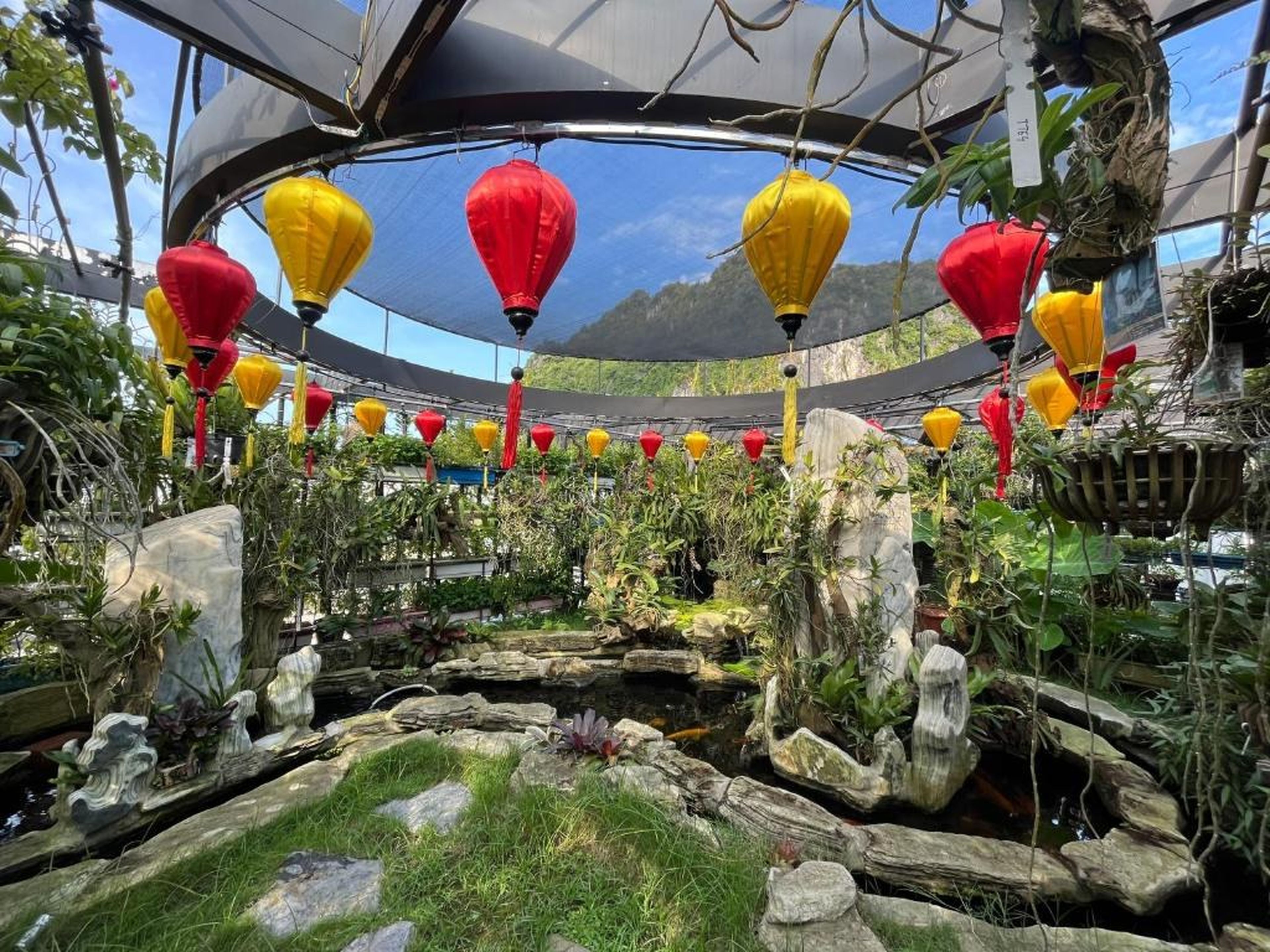 Paris Of Dragon Bay - Hình 26