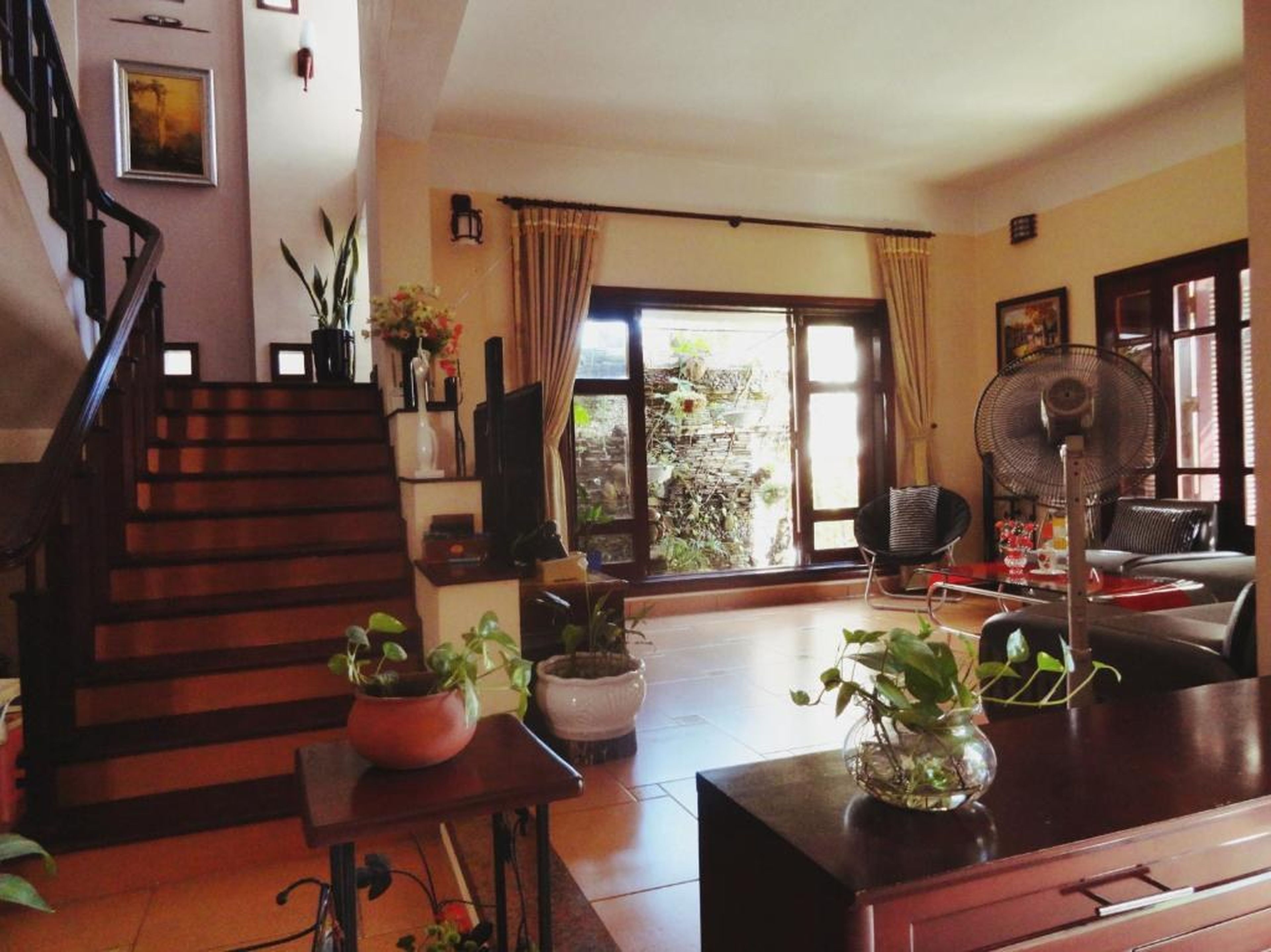 Hạ Long Lily Homestay - Hình 19